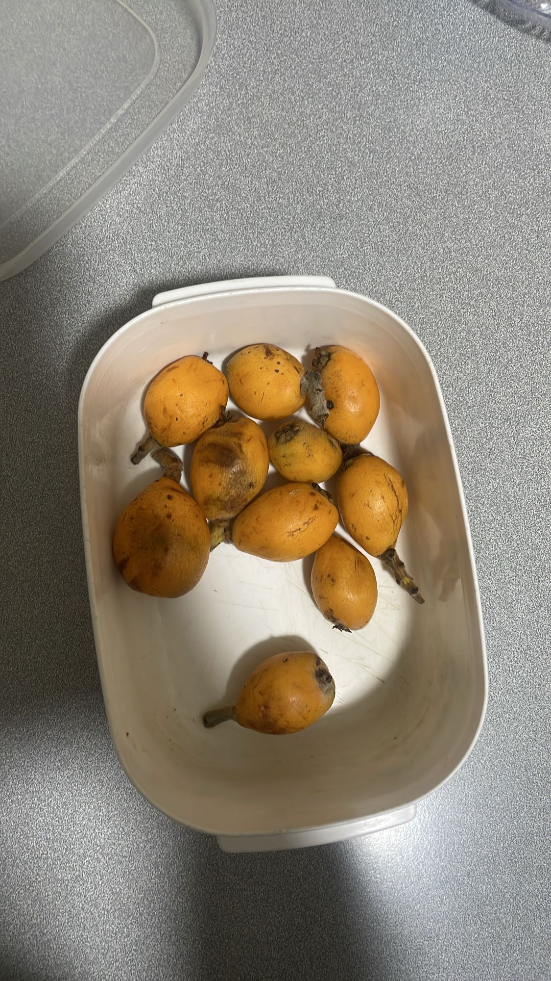 Loquat Fruit
