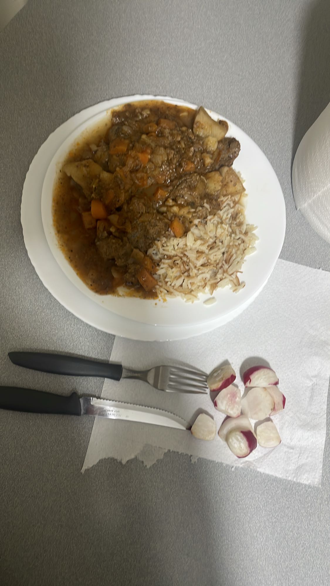 Beef Stew with Rice