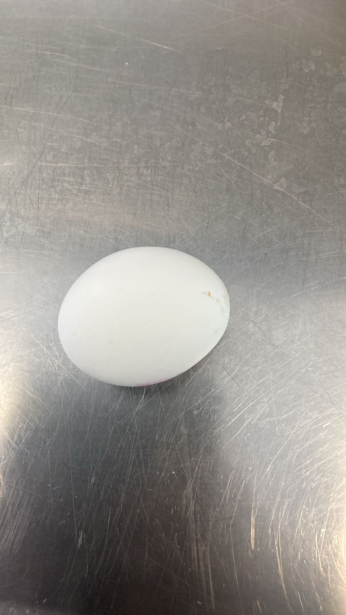 Kokt ägg