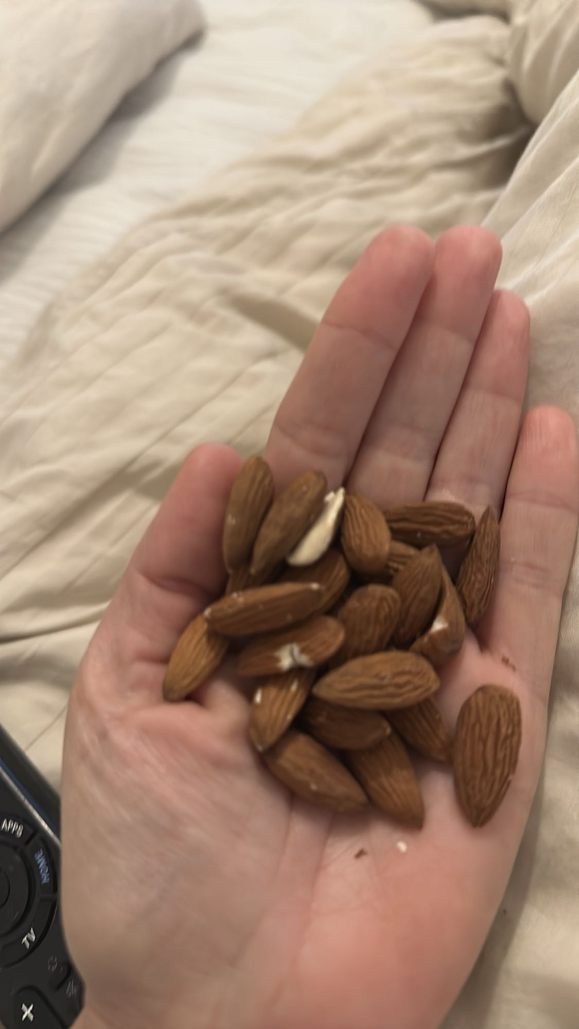 Handful of Almonds