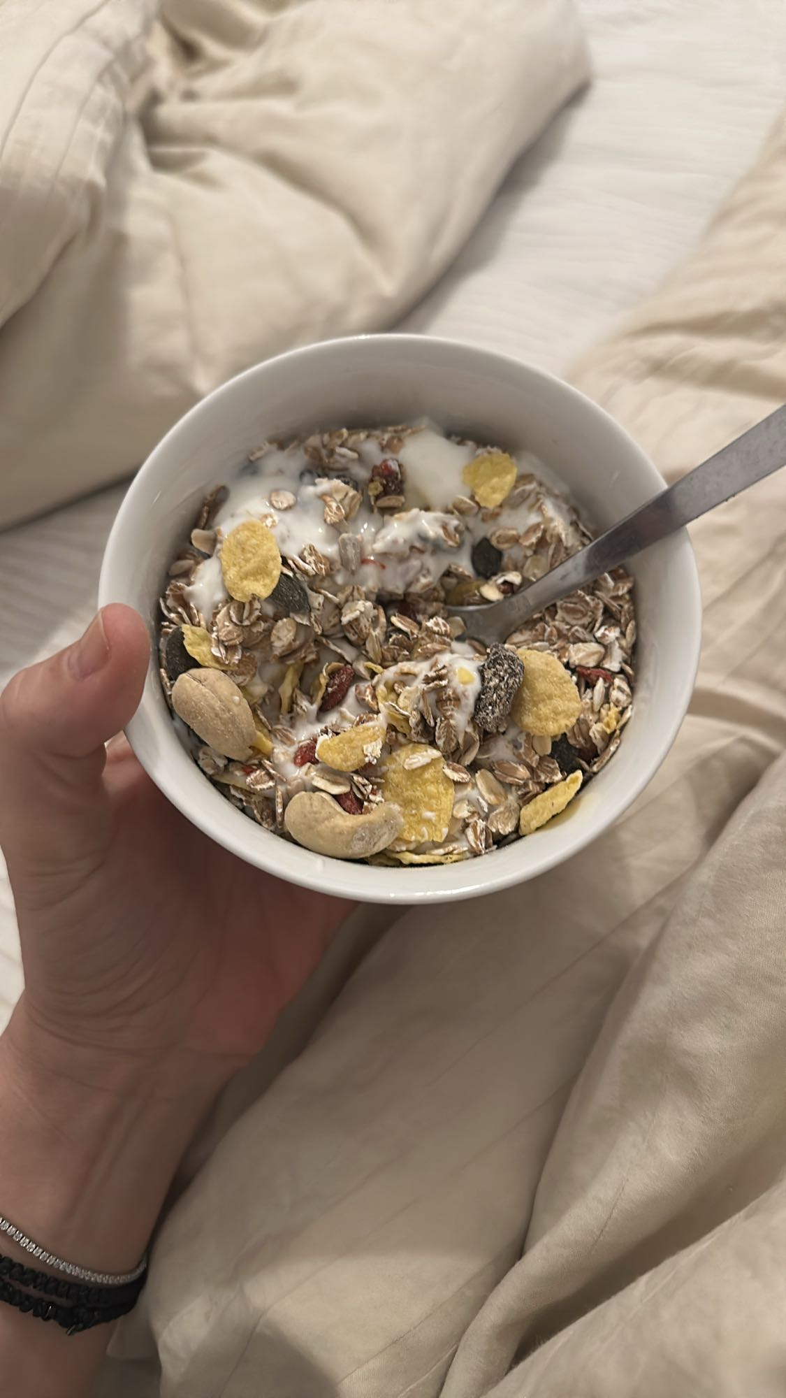 Muesli Yogurt Bowl