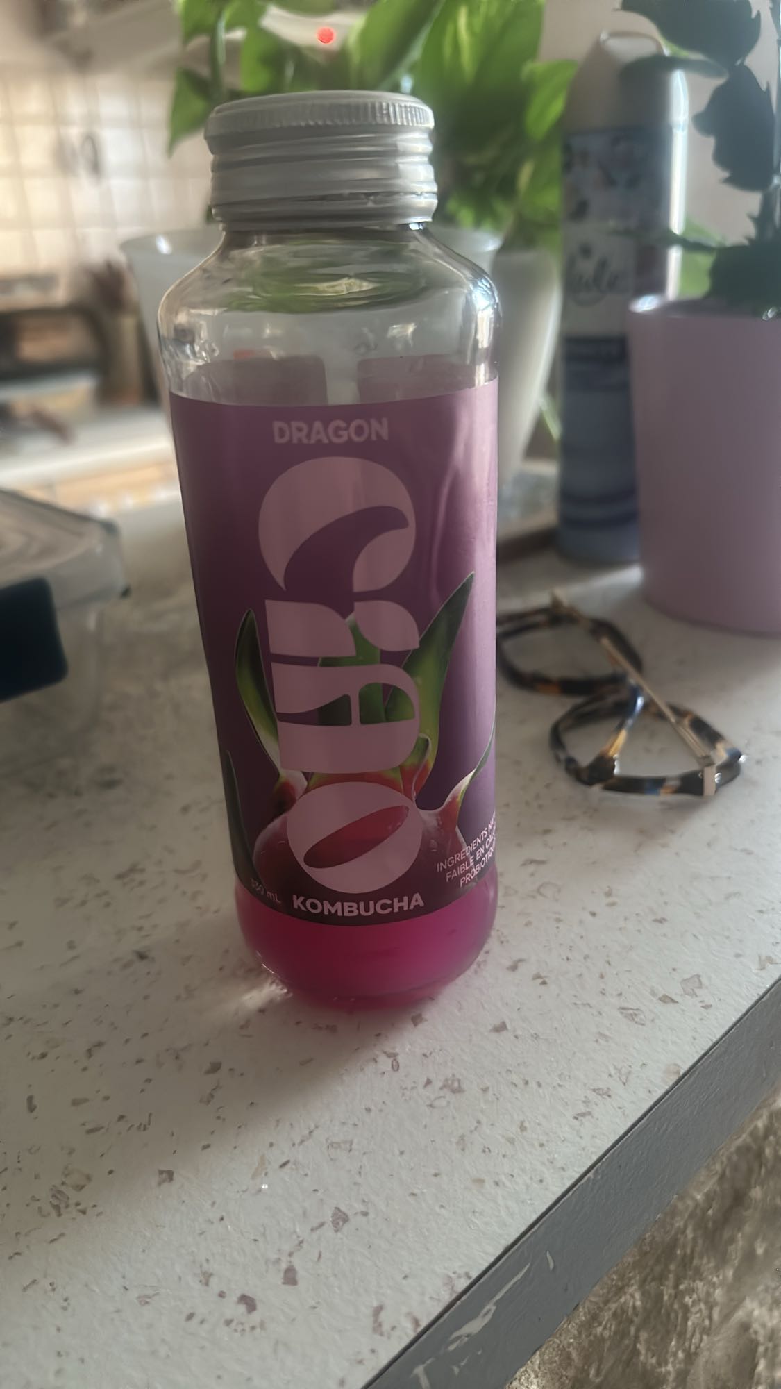 Kombucha fruit du dragon