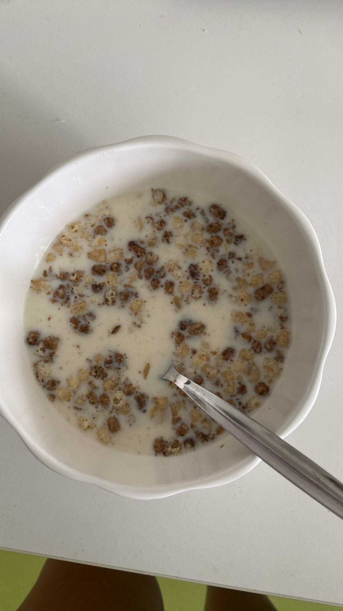 Muesli s mlijekom