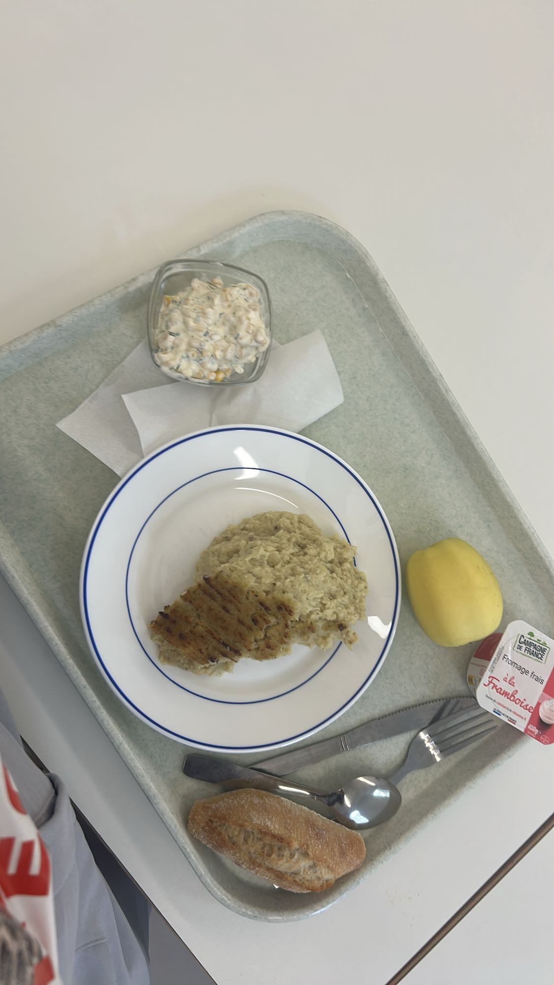Repas de cantine avec gratin de poisson