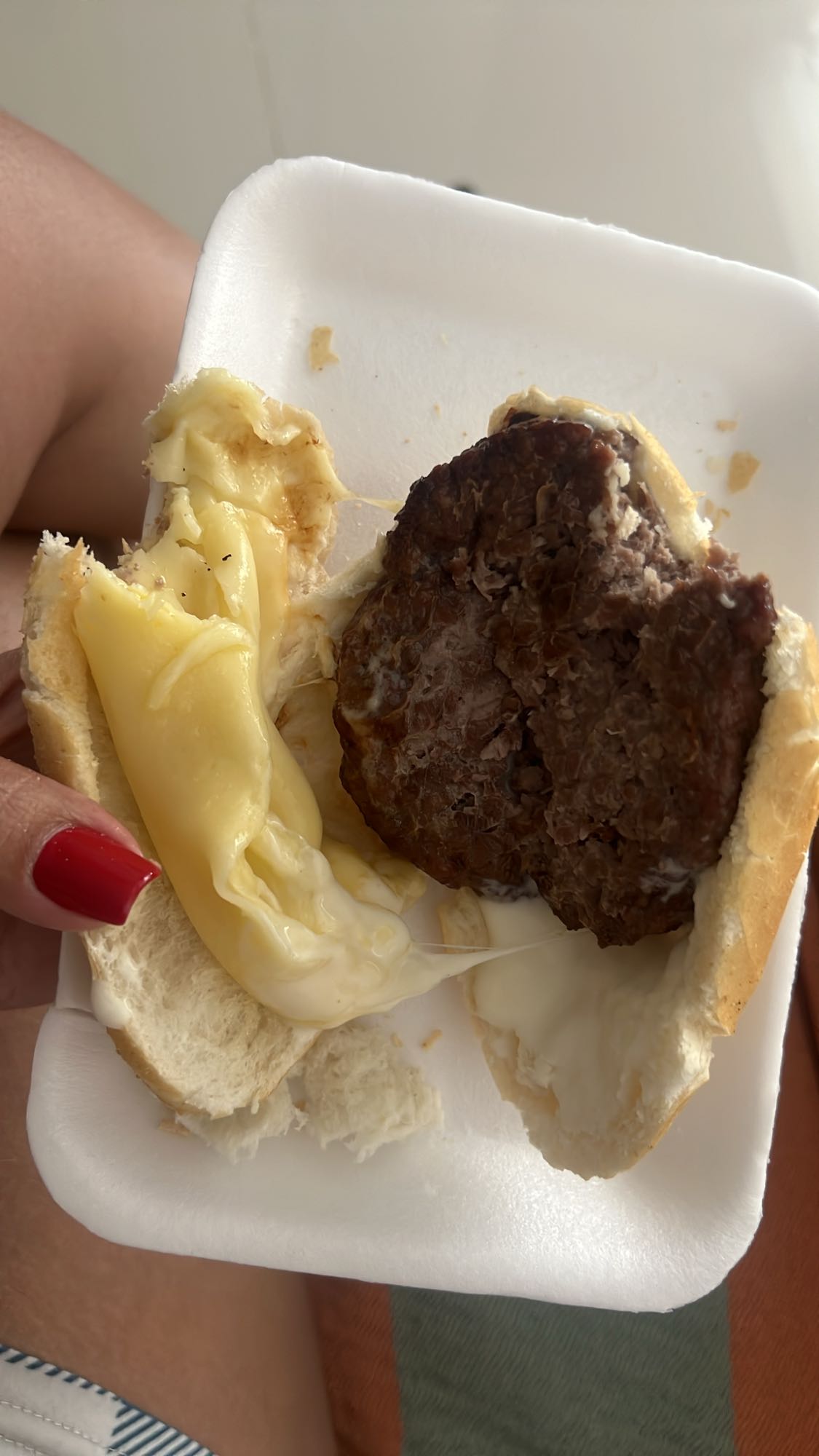 Pão com hambúrguer e queijo