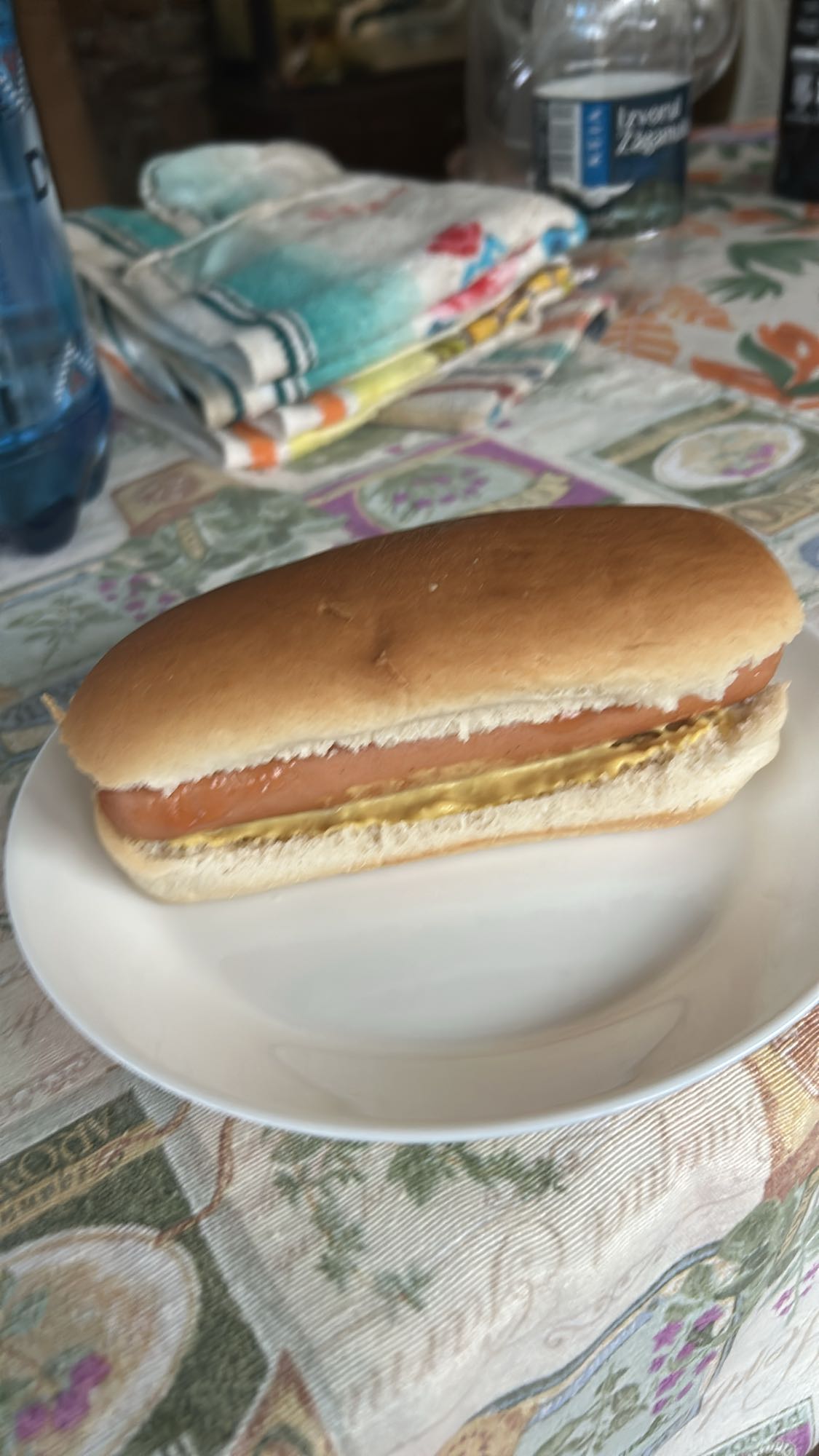 Hot dog simplu