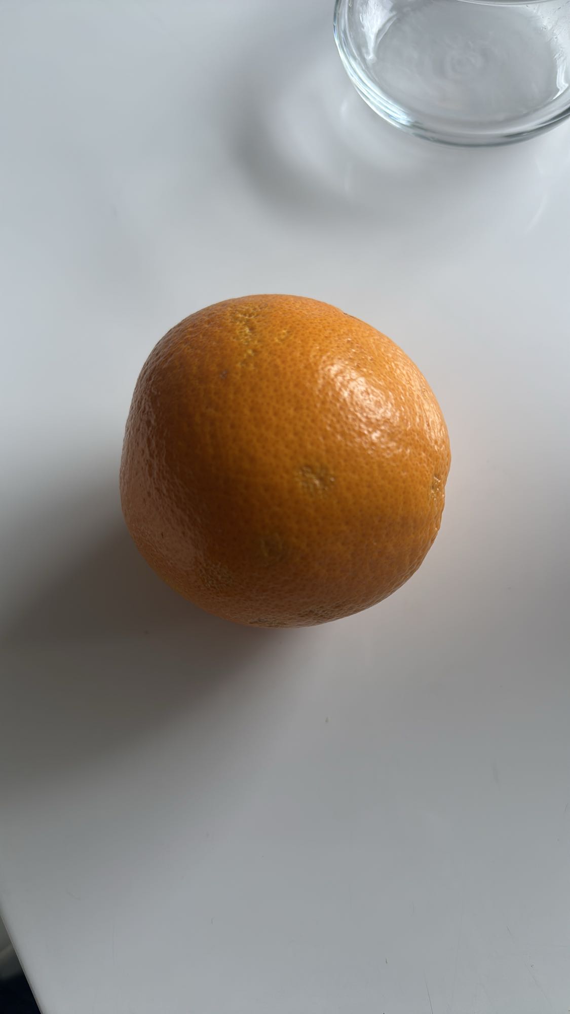 Sinaasappel