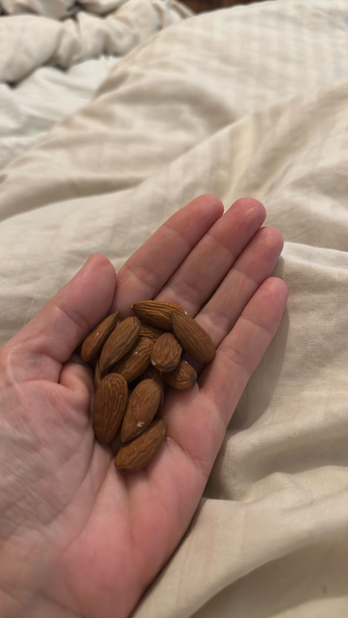 Handful of Almonds