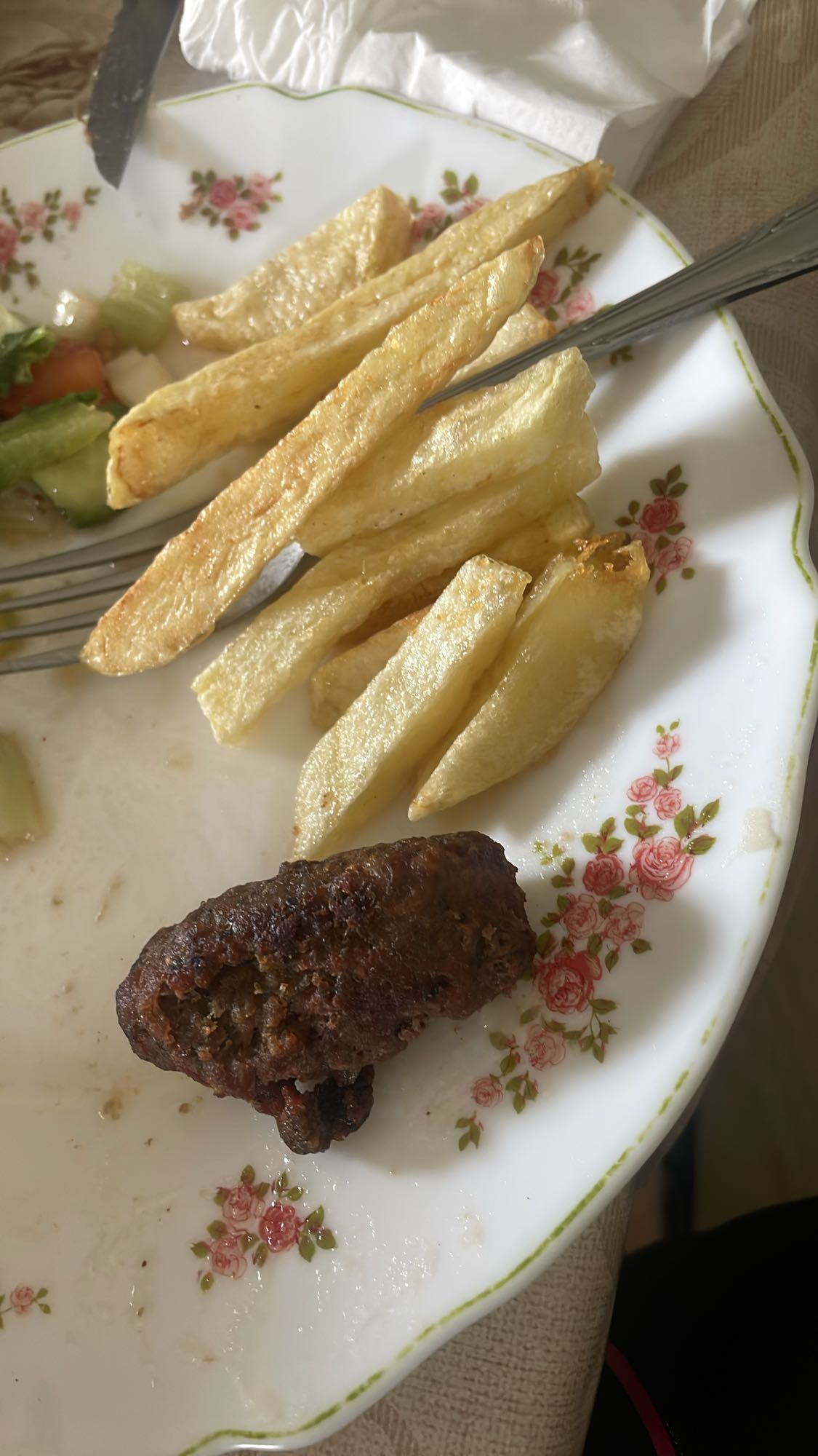 Fries with kebab