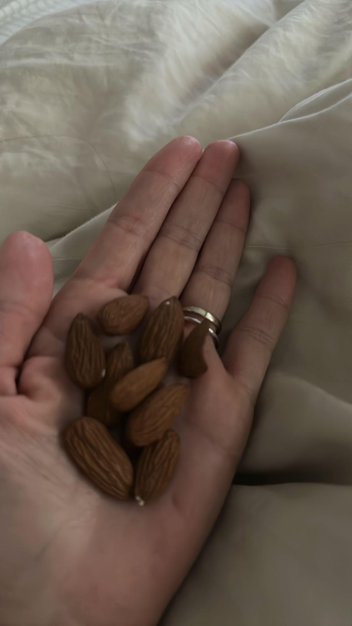 Handful of almonds