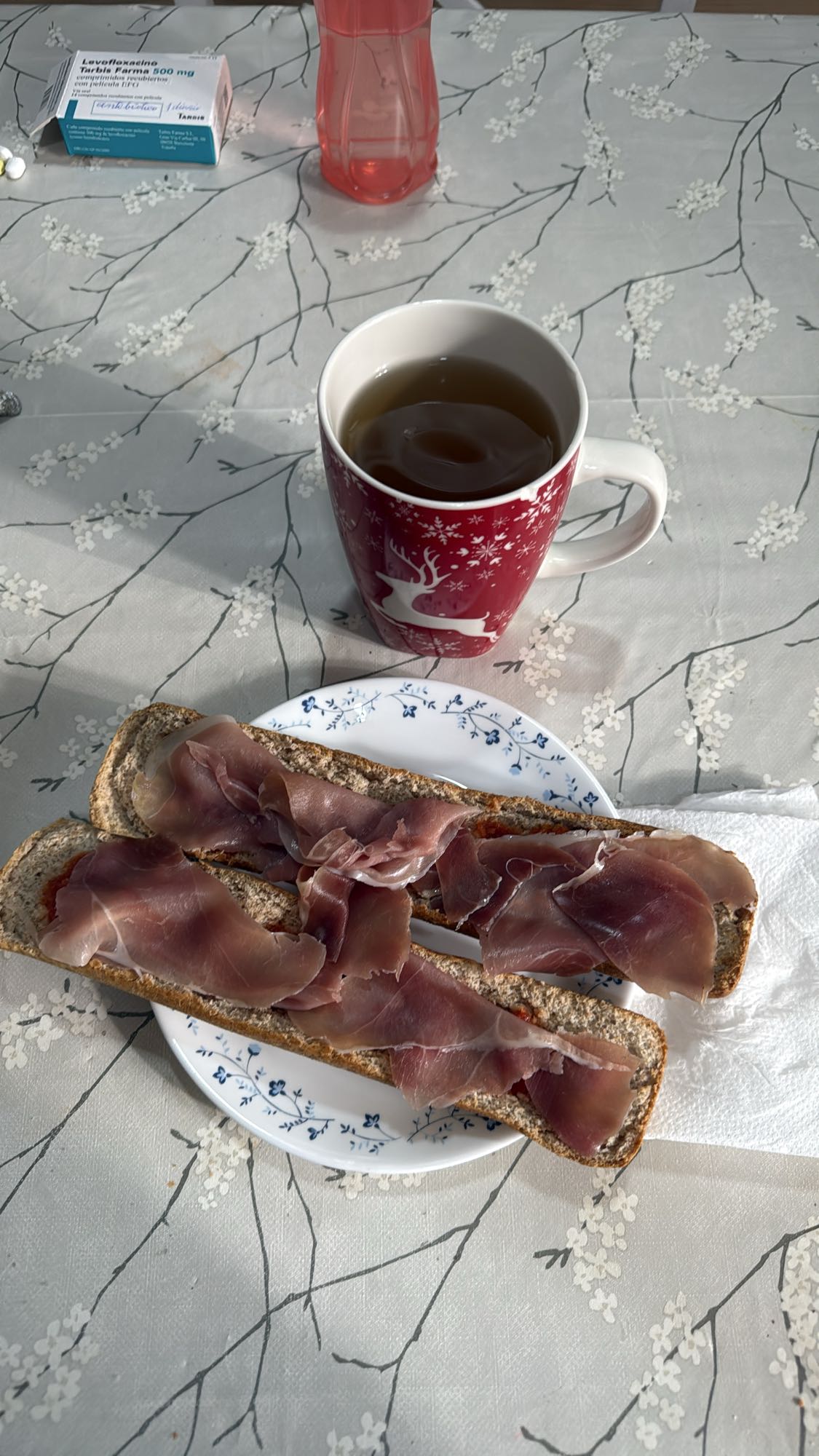 Tostadas con jamón