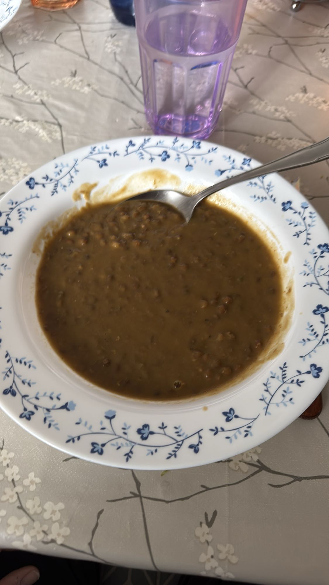 sopa de lentejas