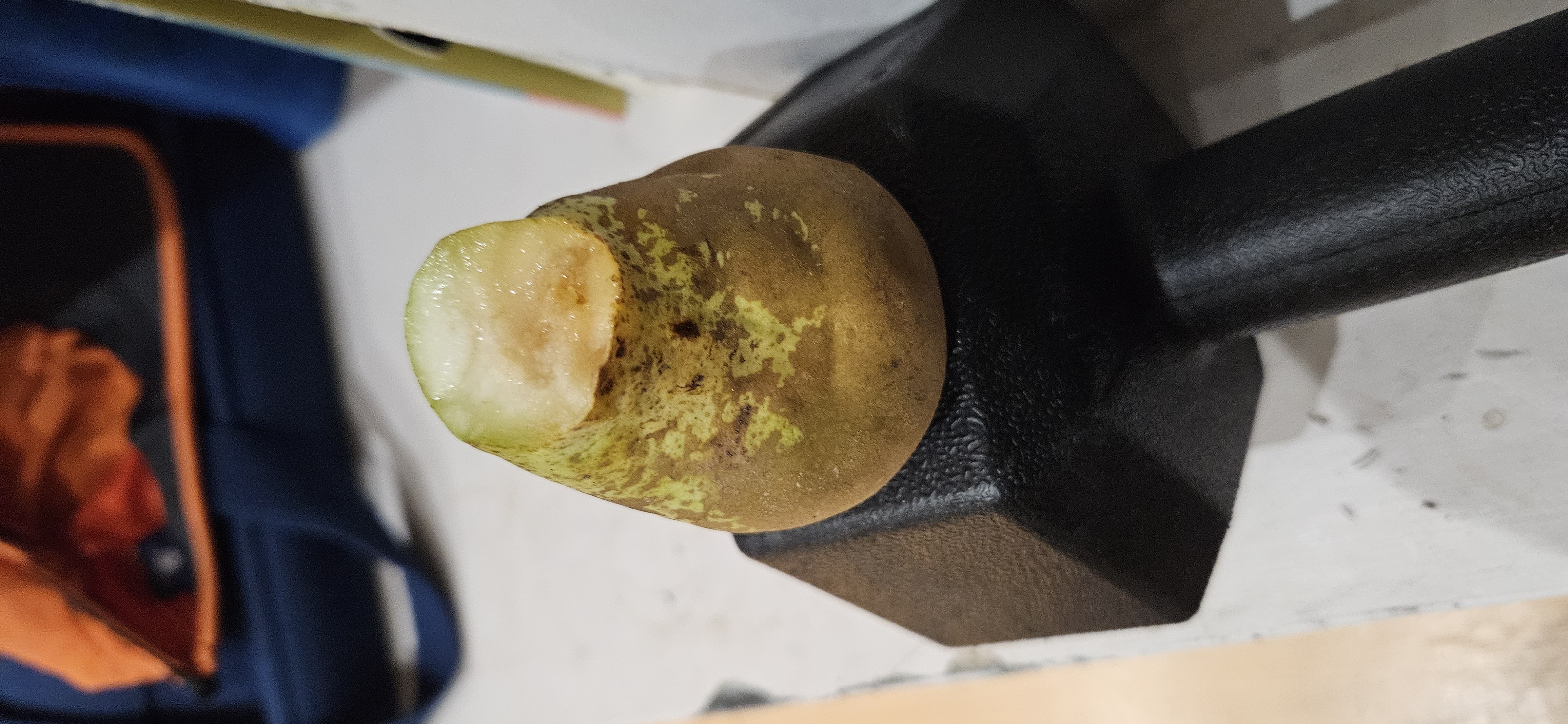 Pear