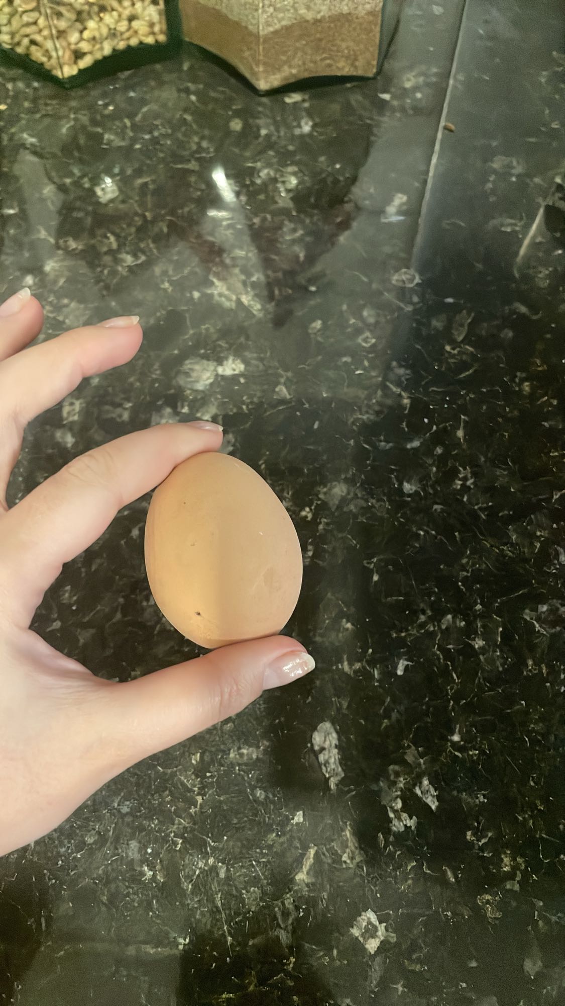 Brown Egg