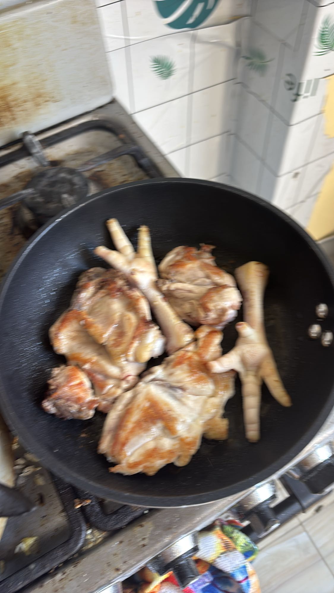 pollo con patas
