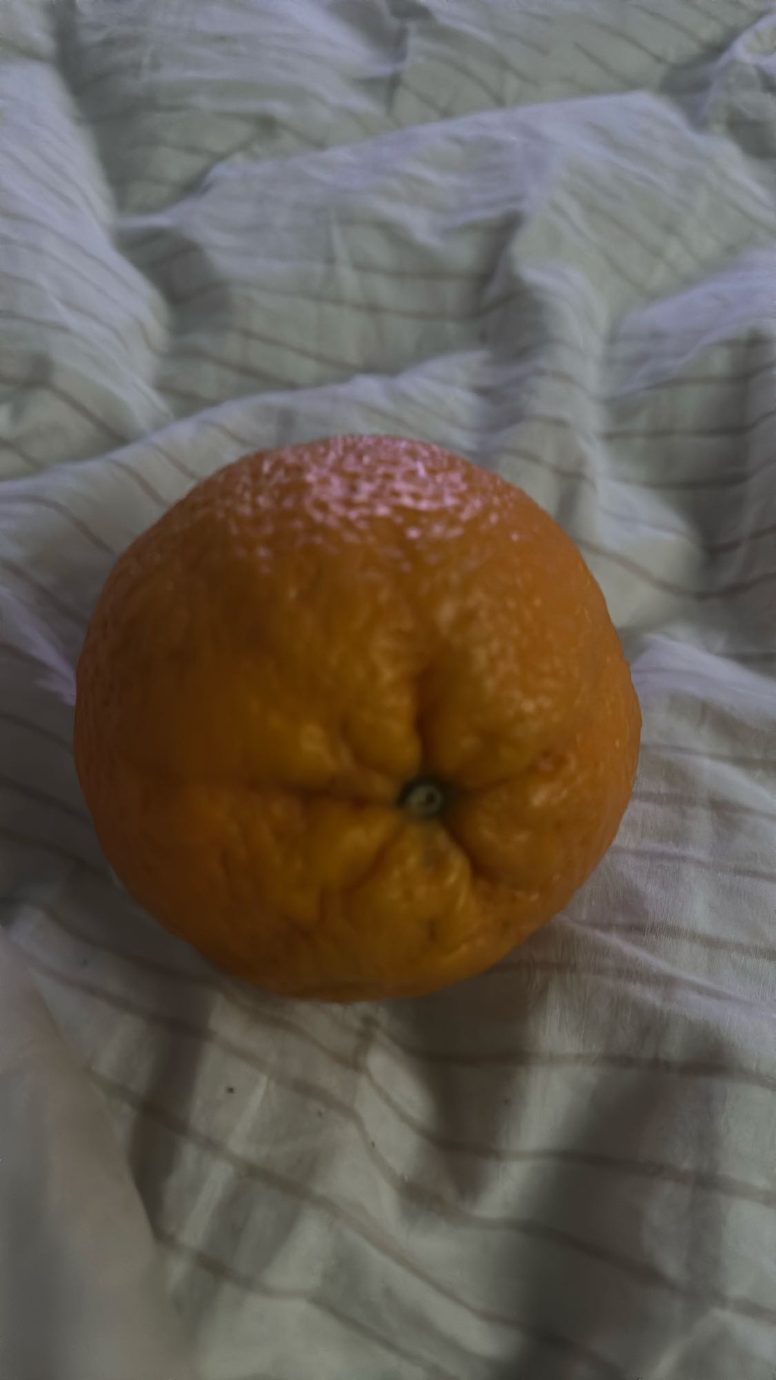 Mandarin Orange