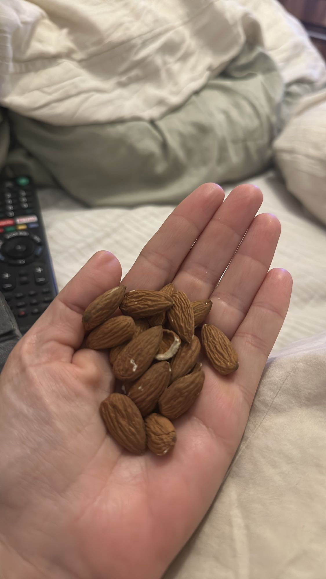 Handful of Almonds