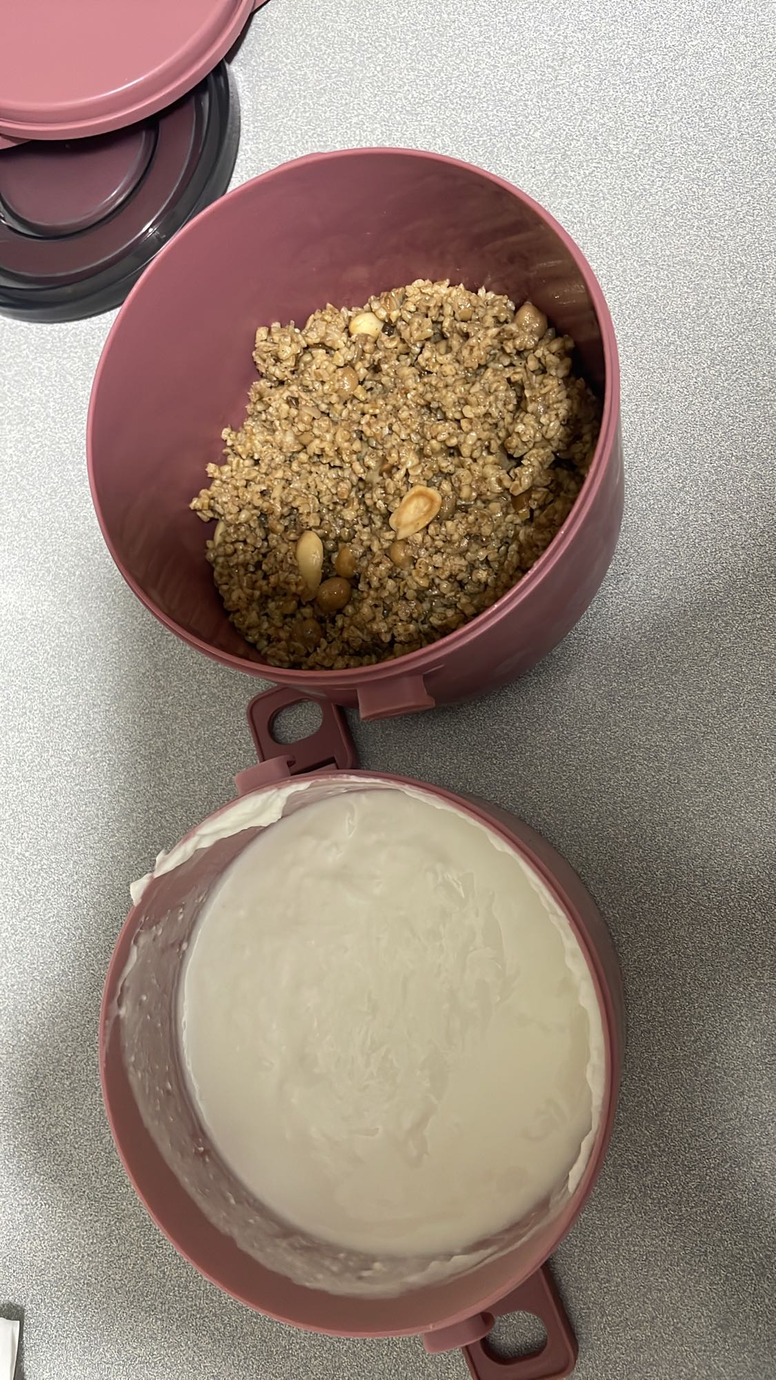 Granola with Yogurt