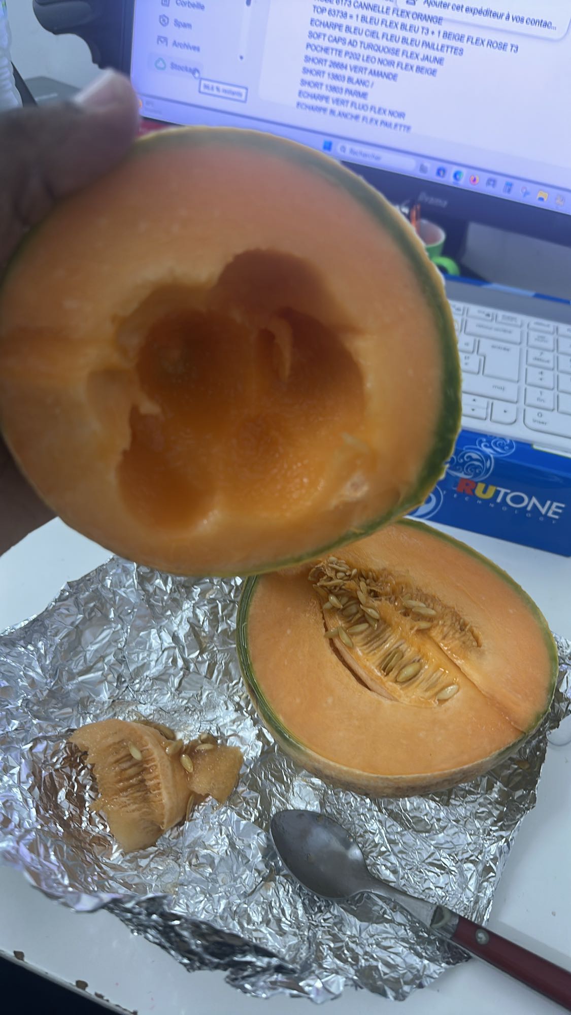 Demi-melon cantaloup