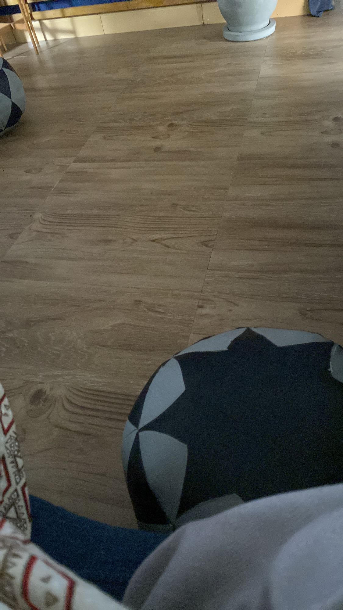 No visible food