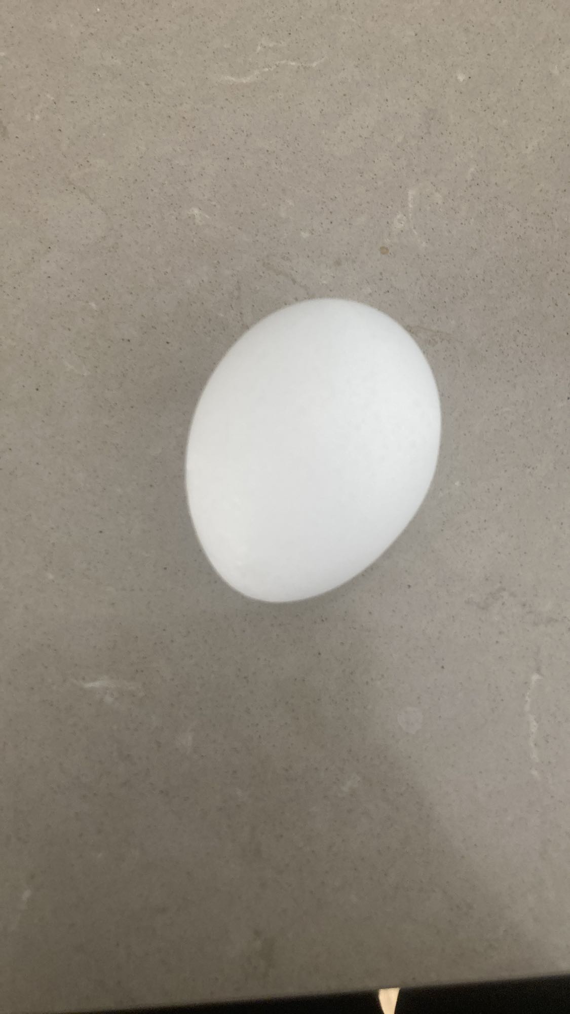 Kokt ägg