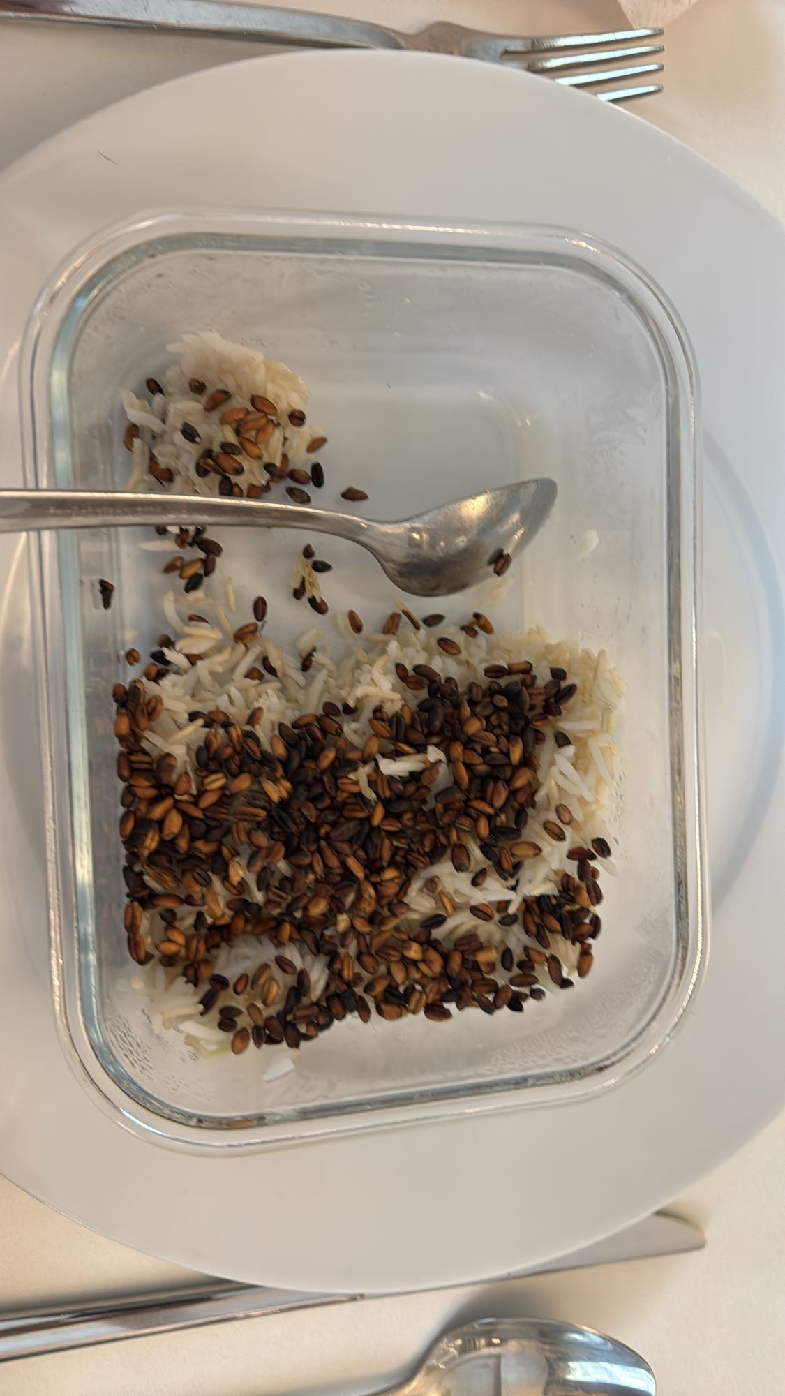 Rice with Roasted Seeds