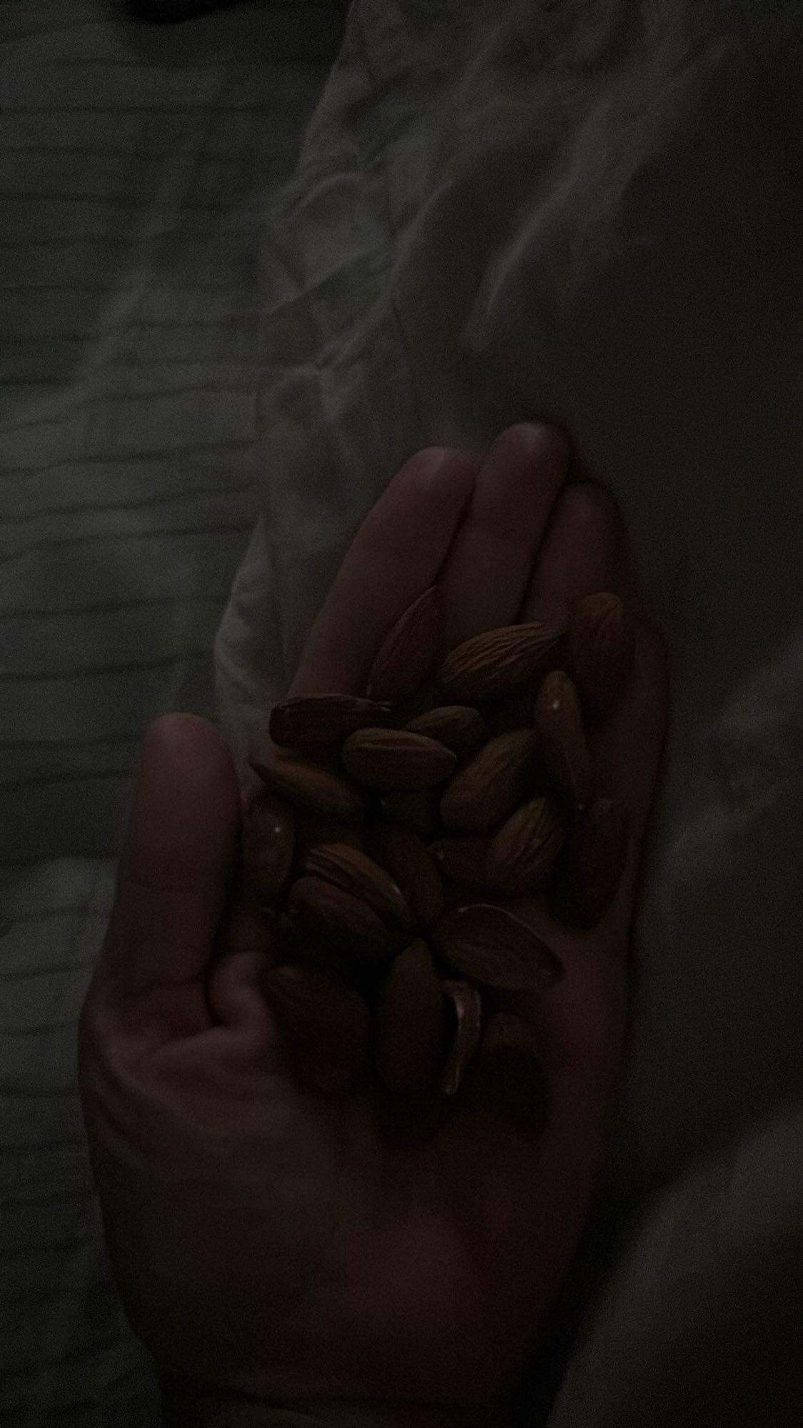 Handful of Almonds