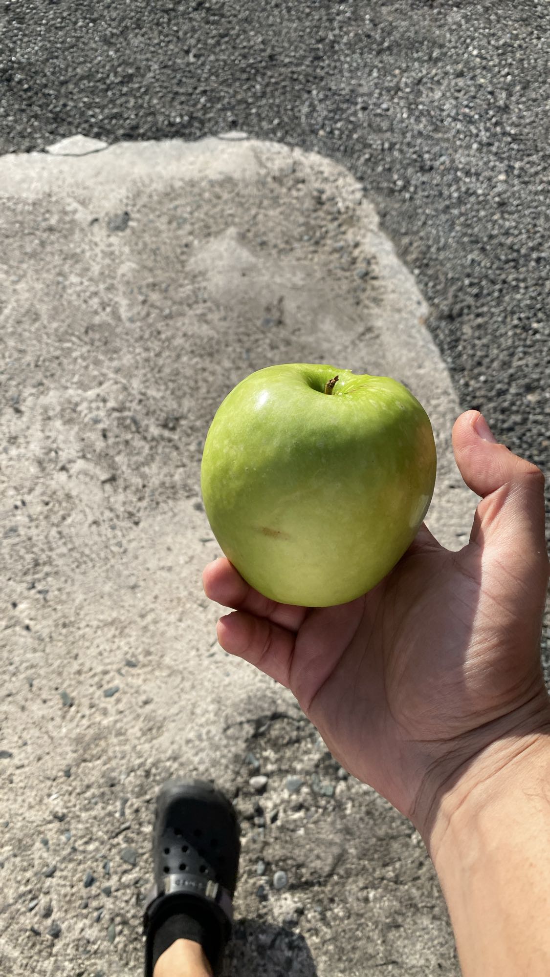 manzana verde