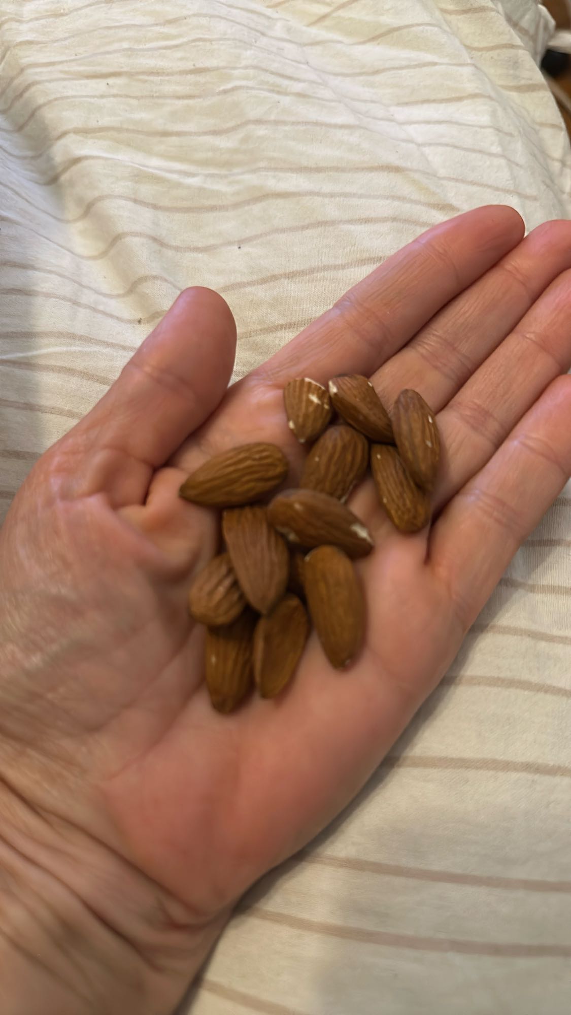 Handful of Almonds