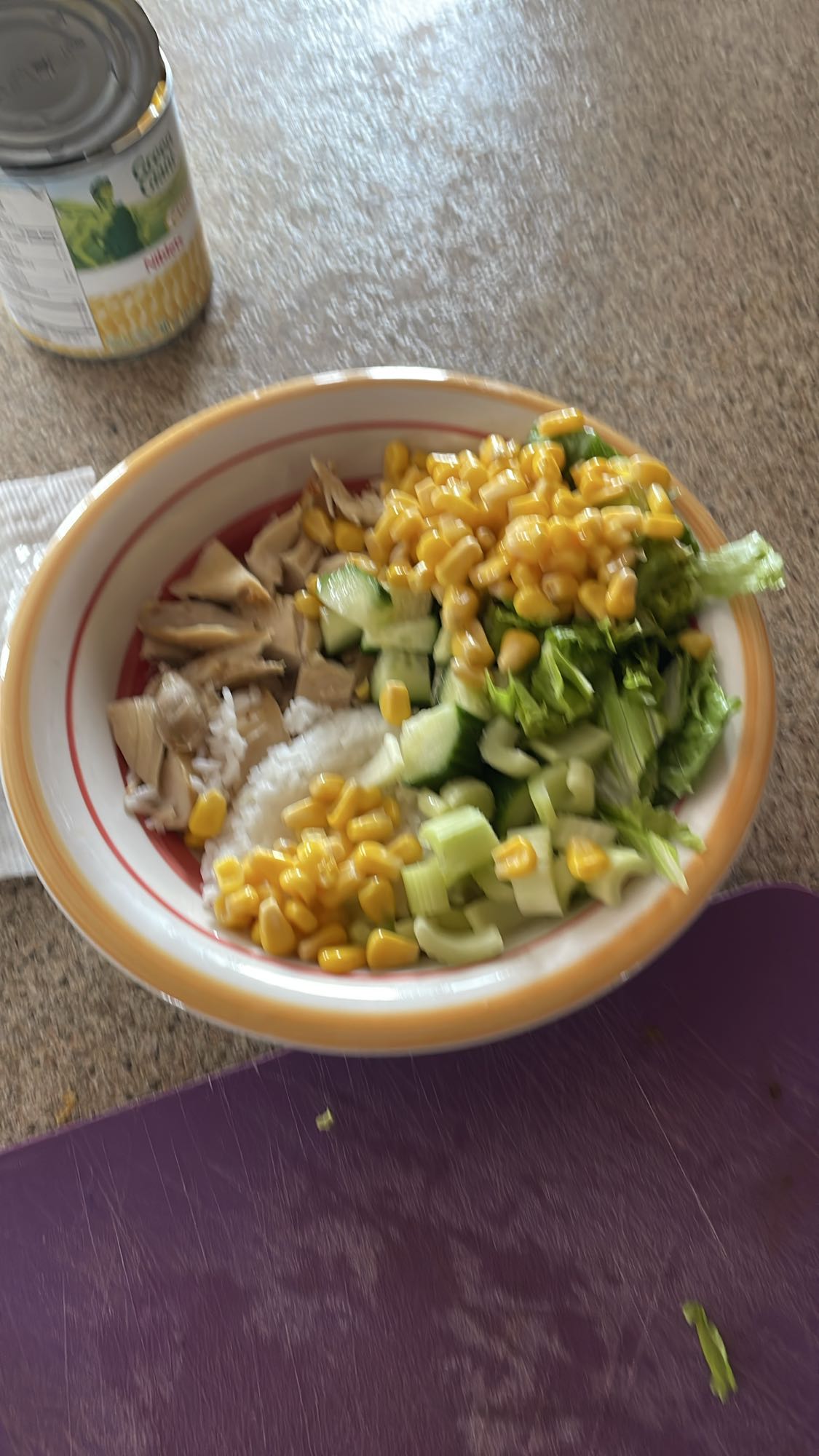 Bol de riz au poulet