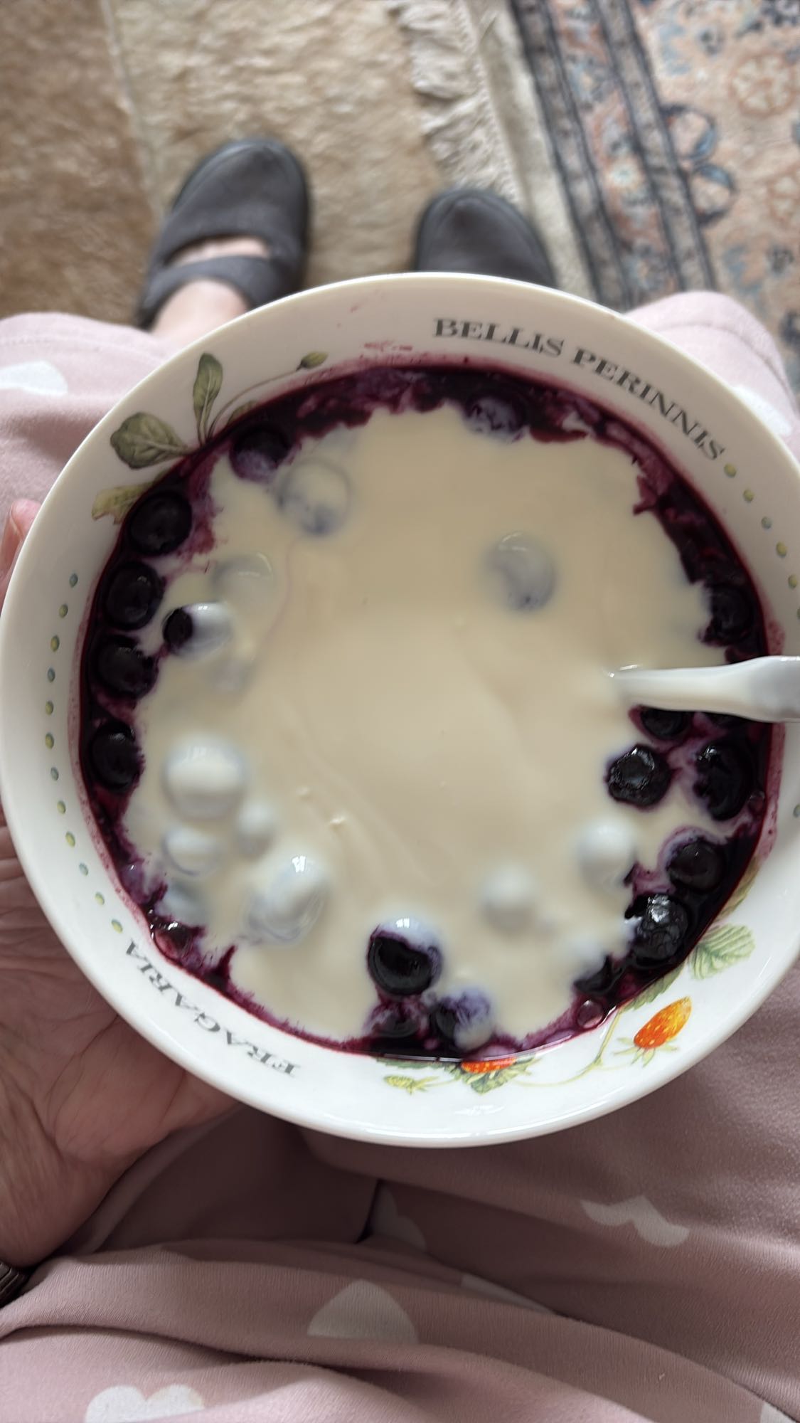 Alpro yoghurt met blauwe bessen