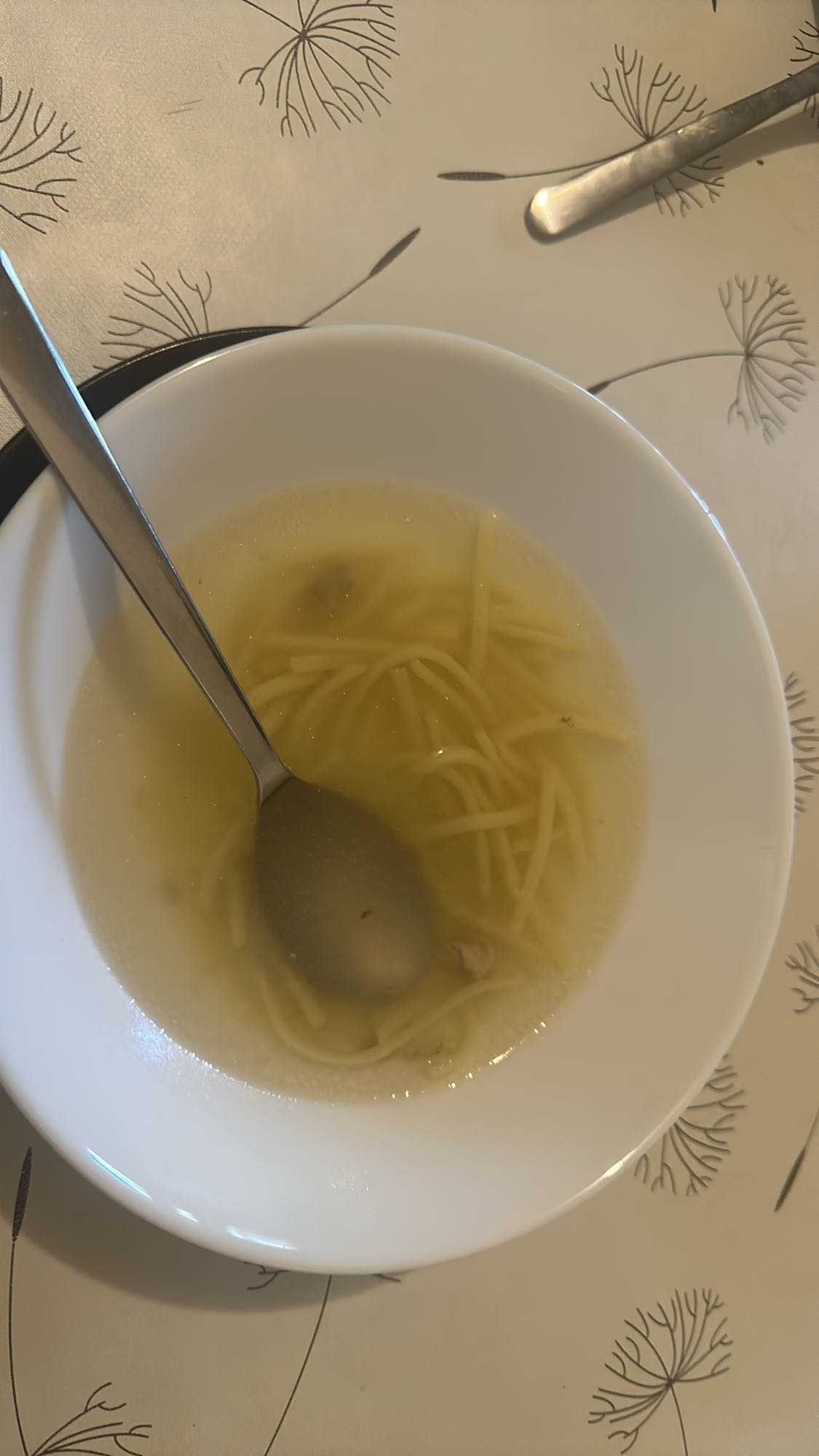 Chicken Noodle Soup