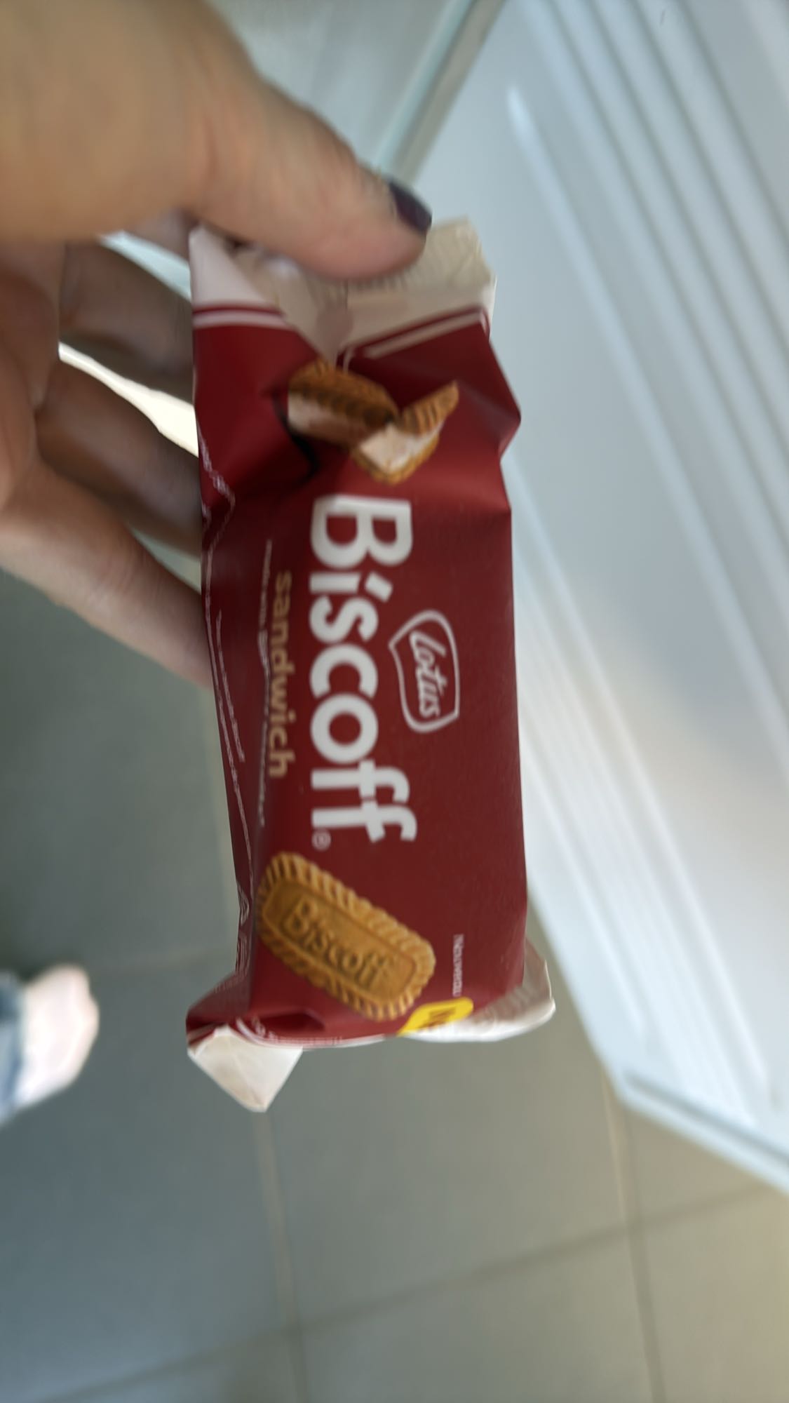 Lotus Biscoff sandwich