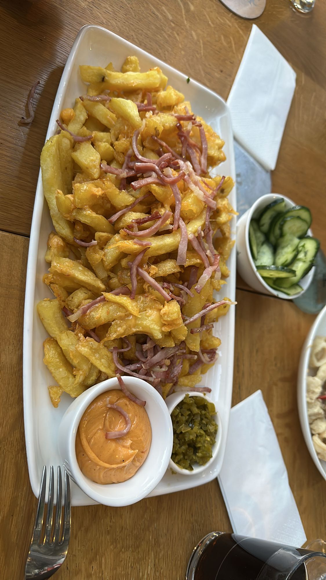 Loaded Fries Plate