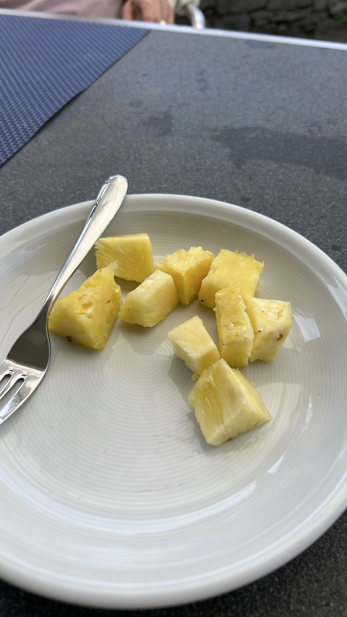 Ananasstücke