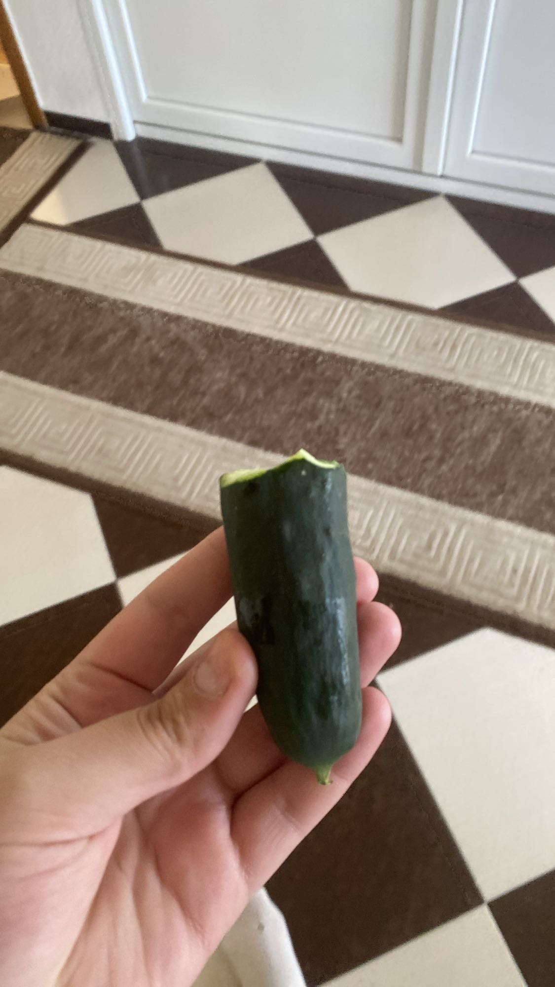 Cucumber Snack