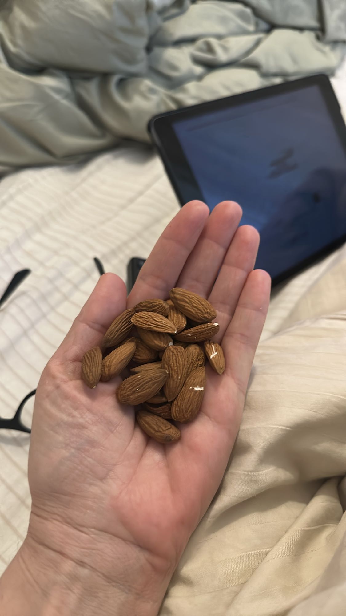 Handful of Almonds
