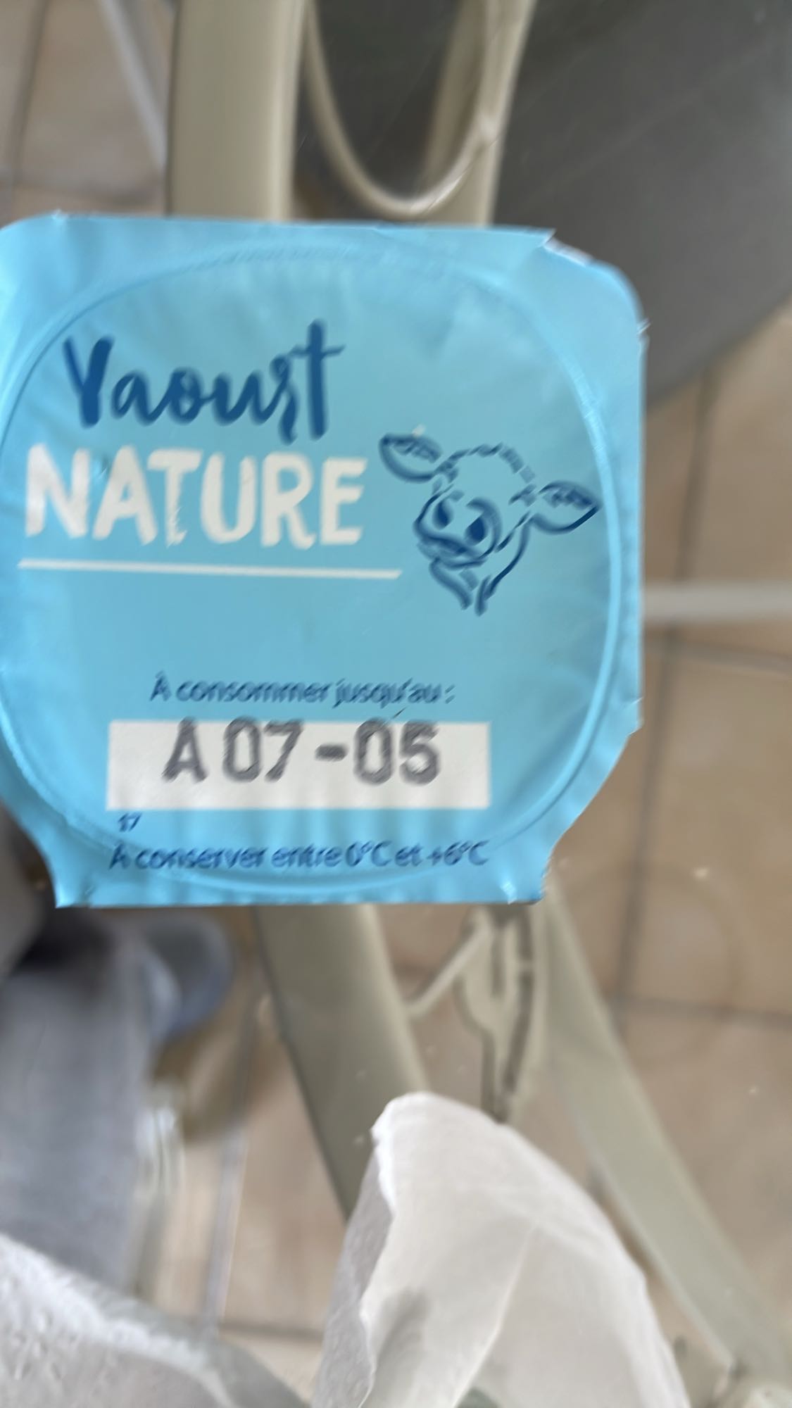 Yaourt nature
