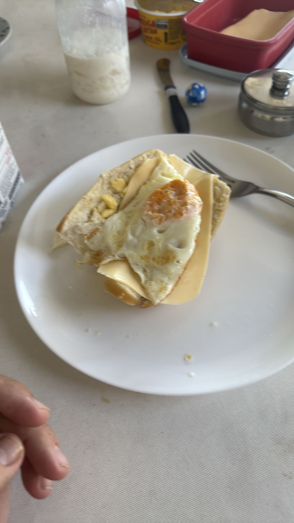 Sanduíche com ovo