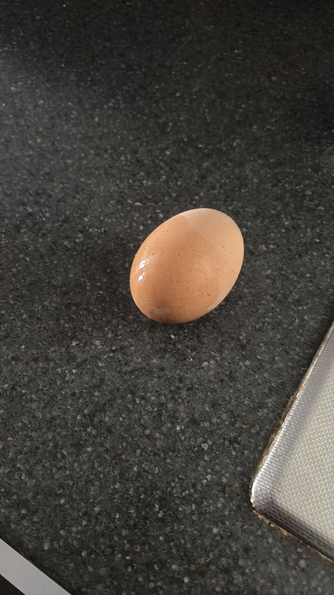 Oeuf brun
