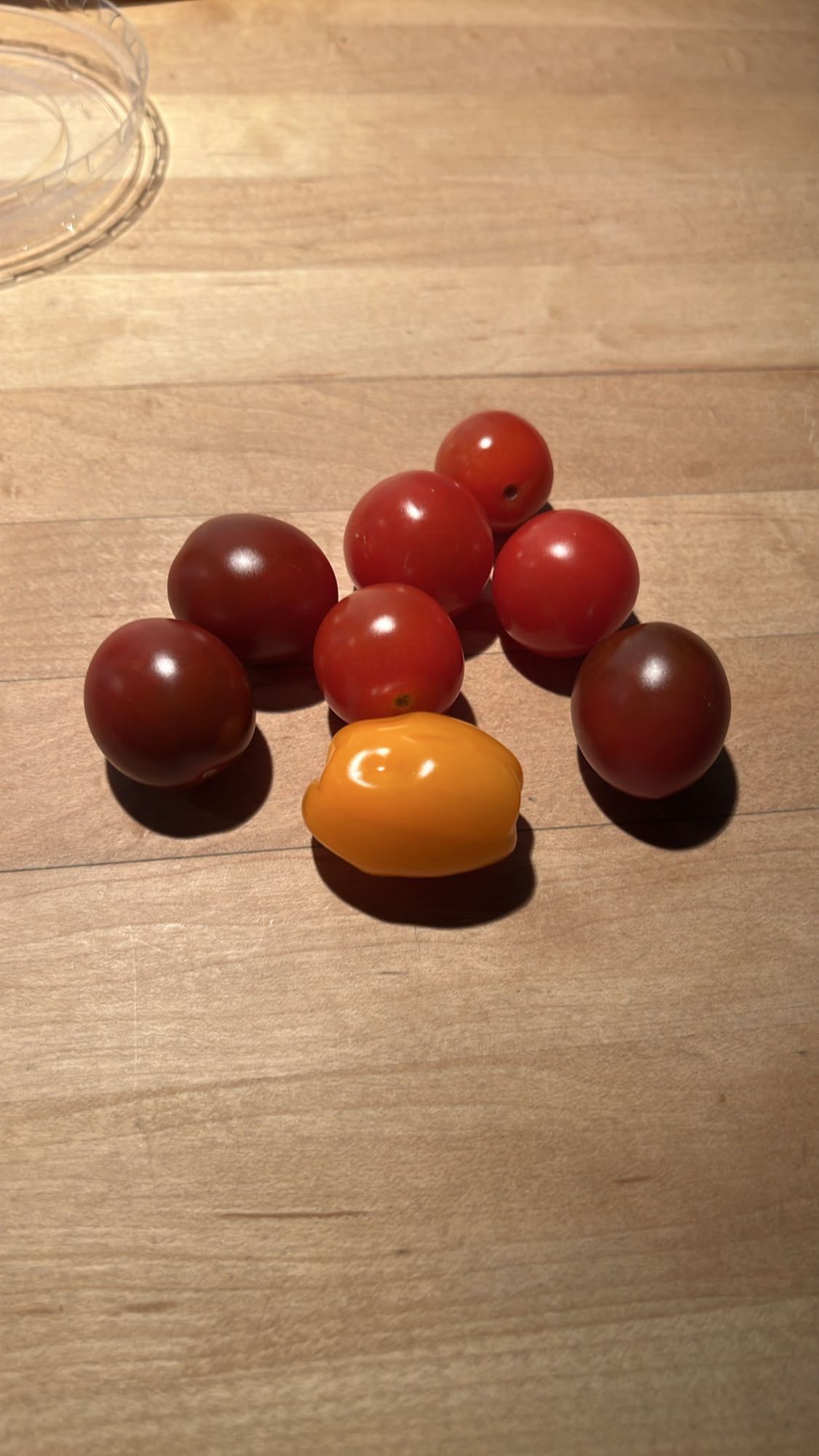 Kleine Tomatenmischung