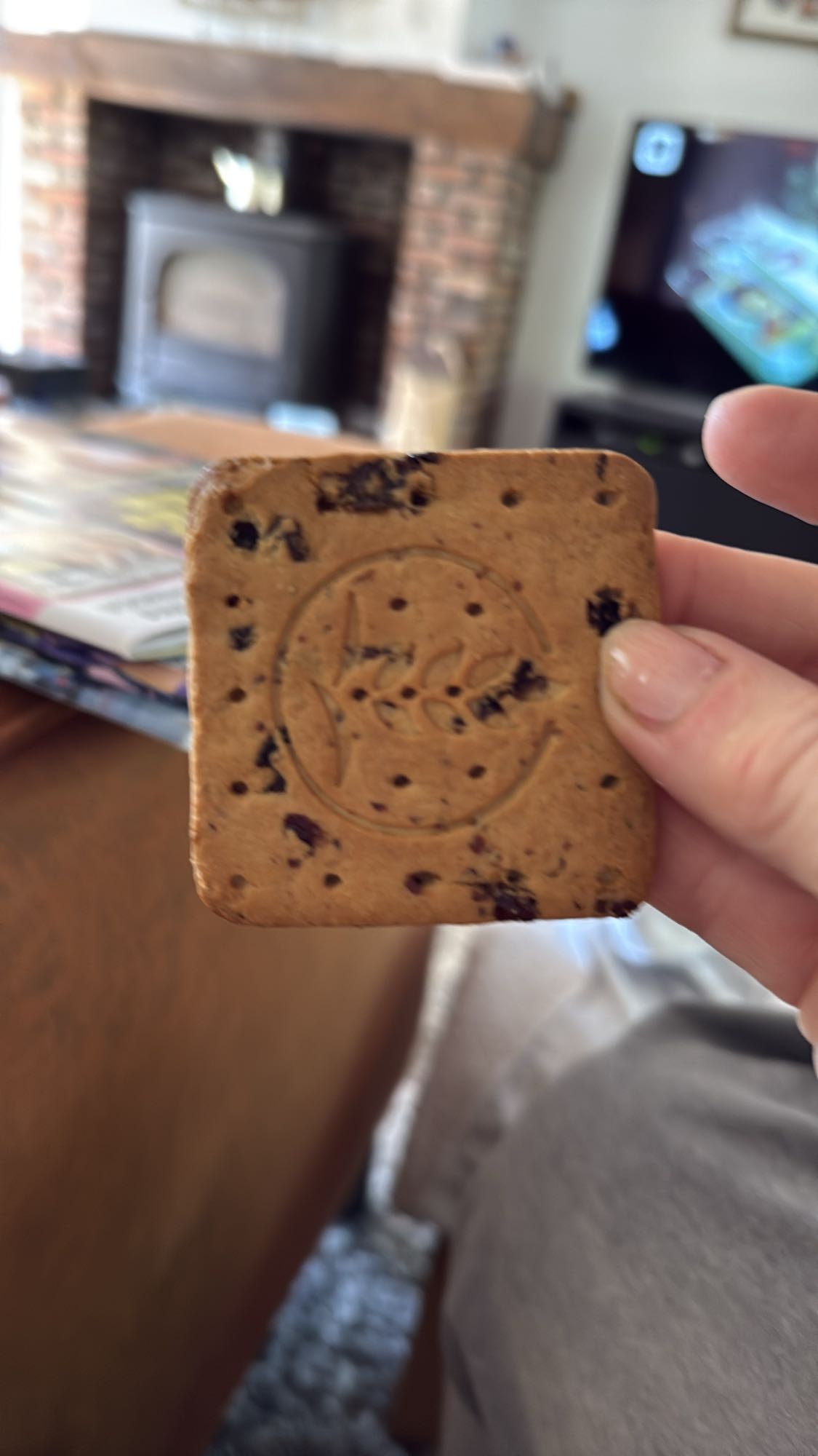 Chocoladekoekje