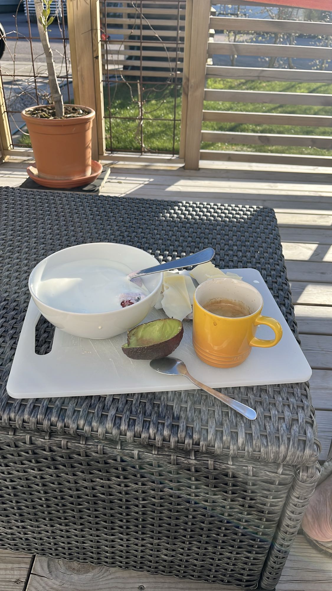Yoghurt med avokado