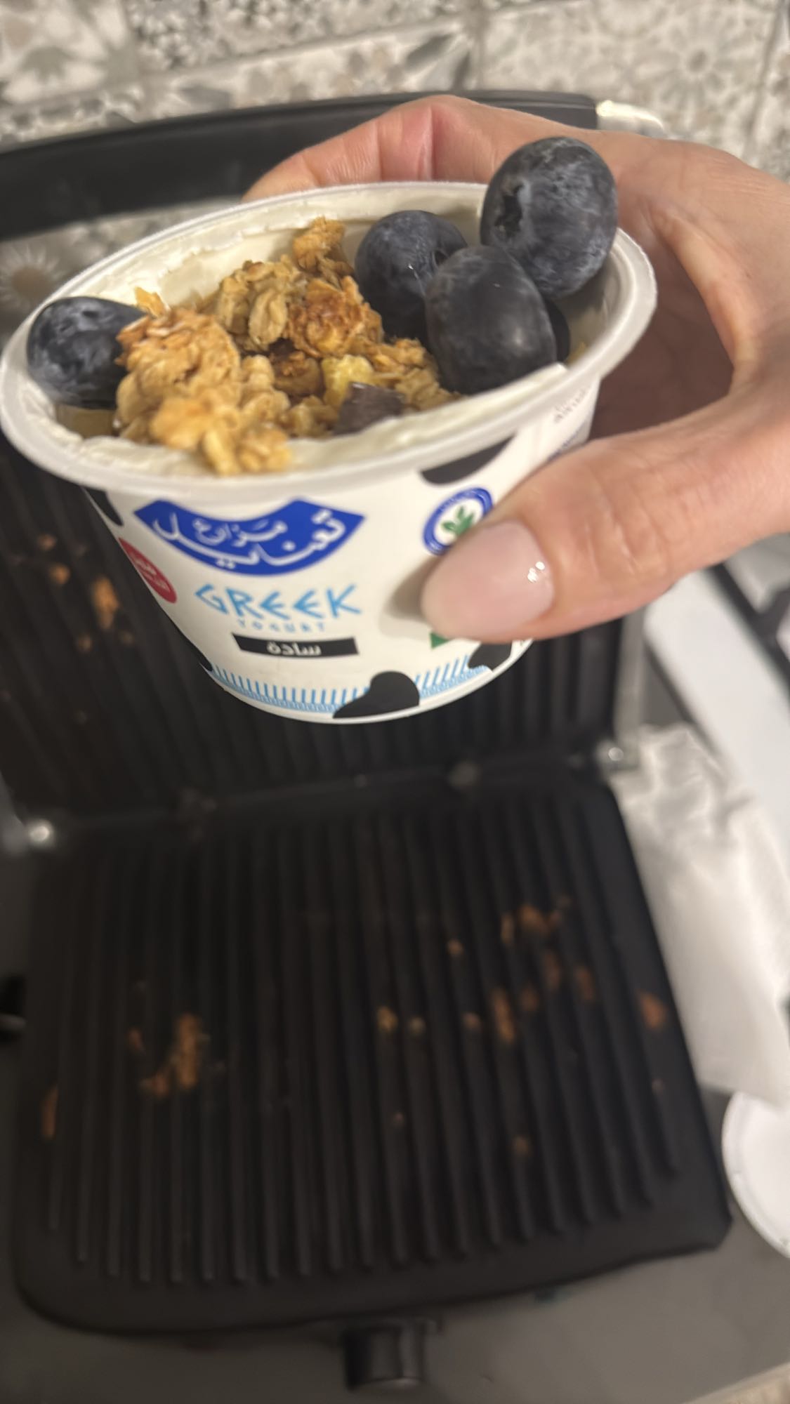 Greek Yogurt Cup