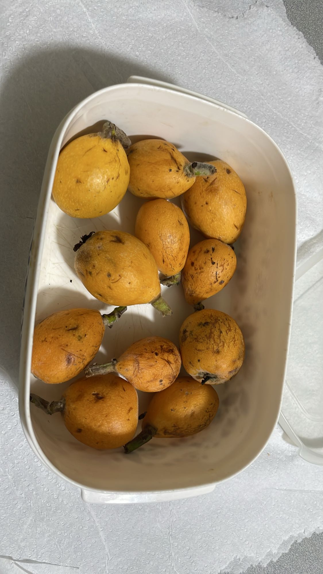 Loquat Bowl