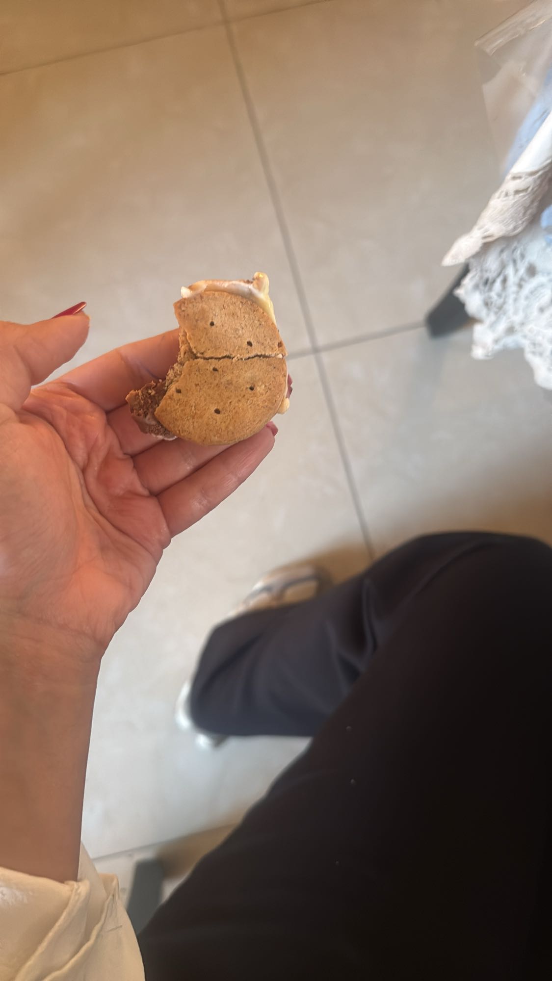Iced Cookie Sandwich