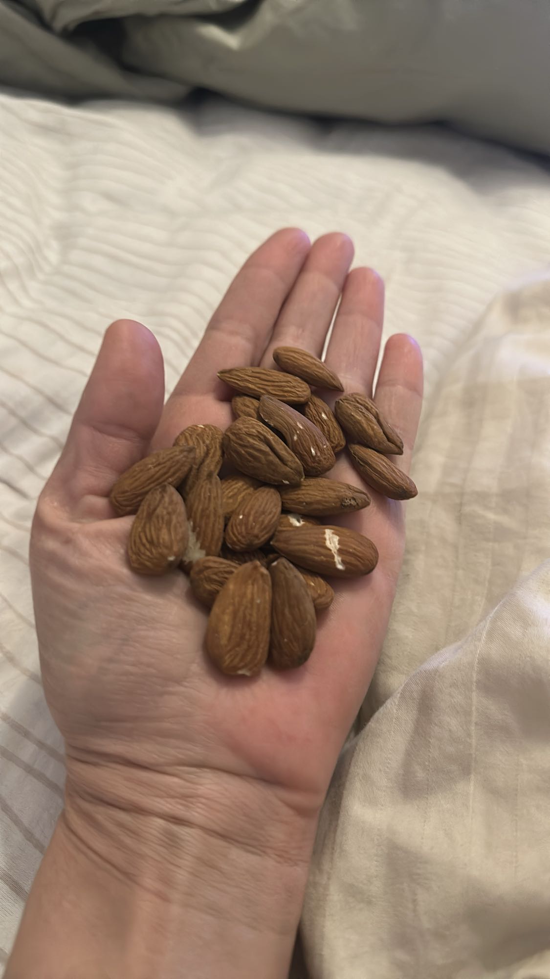 Handful of Almonds