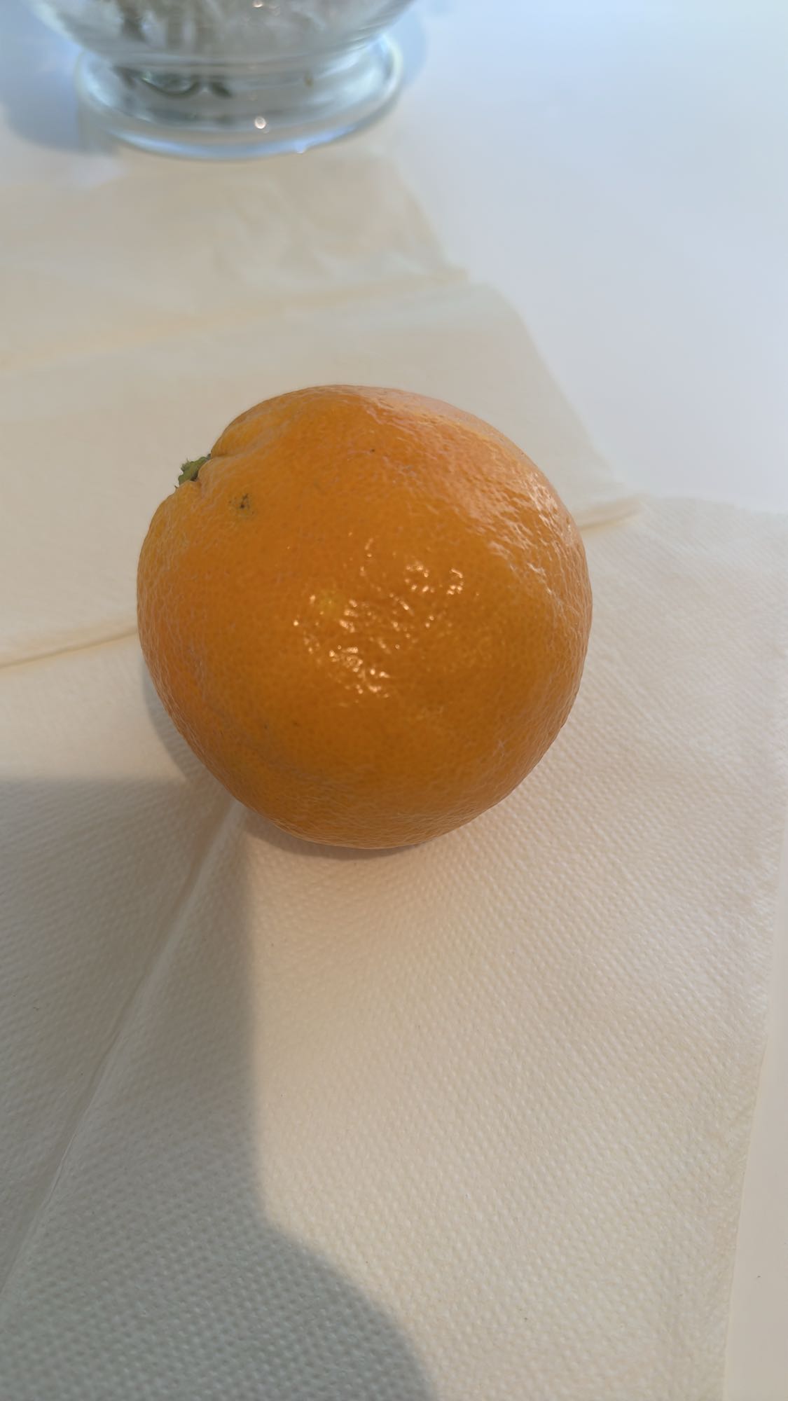 Sinaasappel