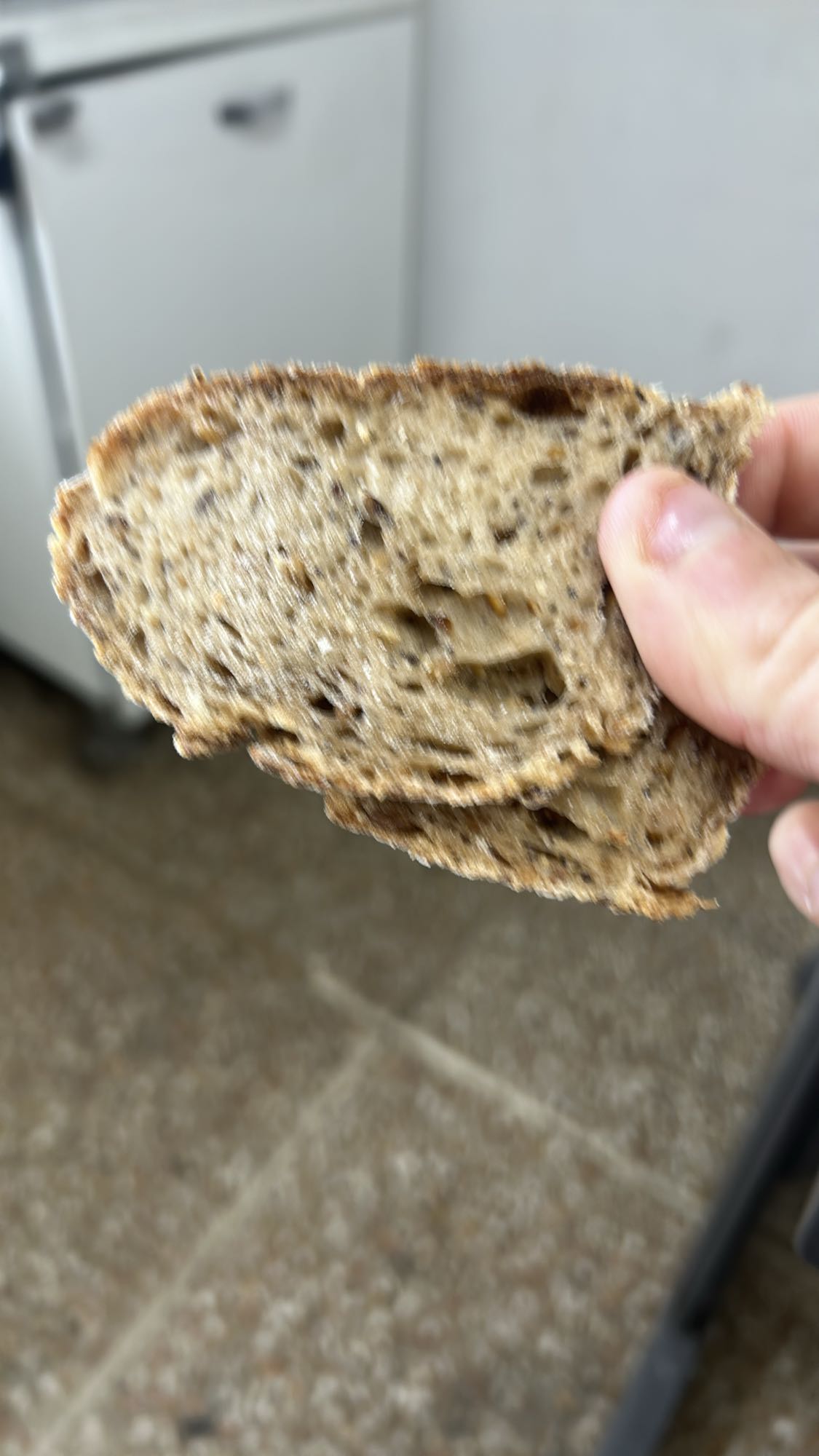 Pane ai semi