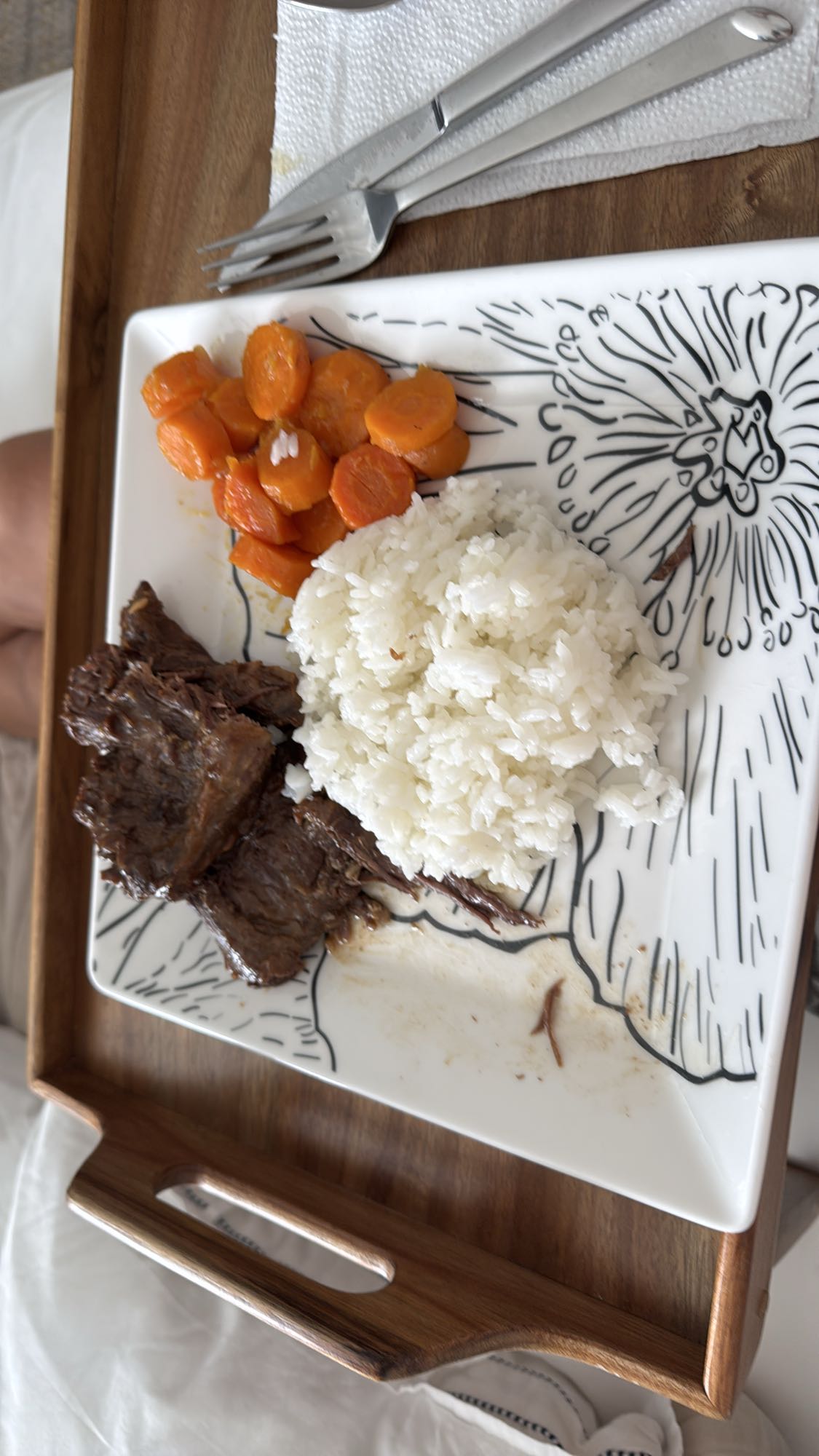 carne con arroz y zanahoria